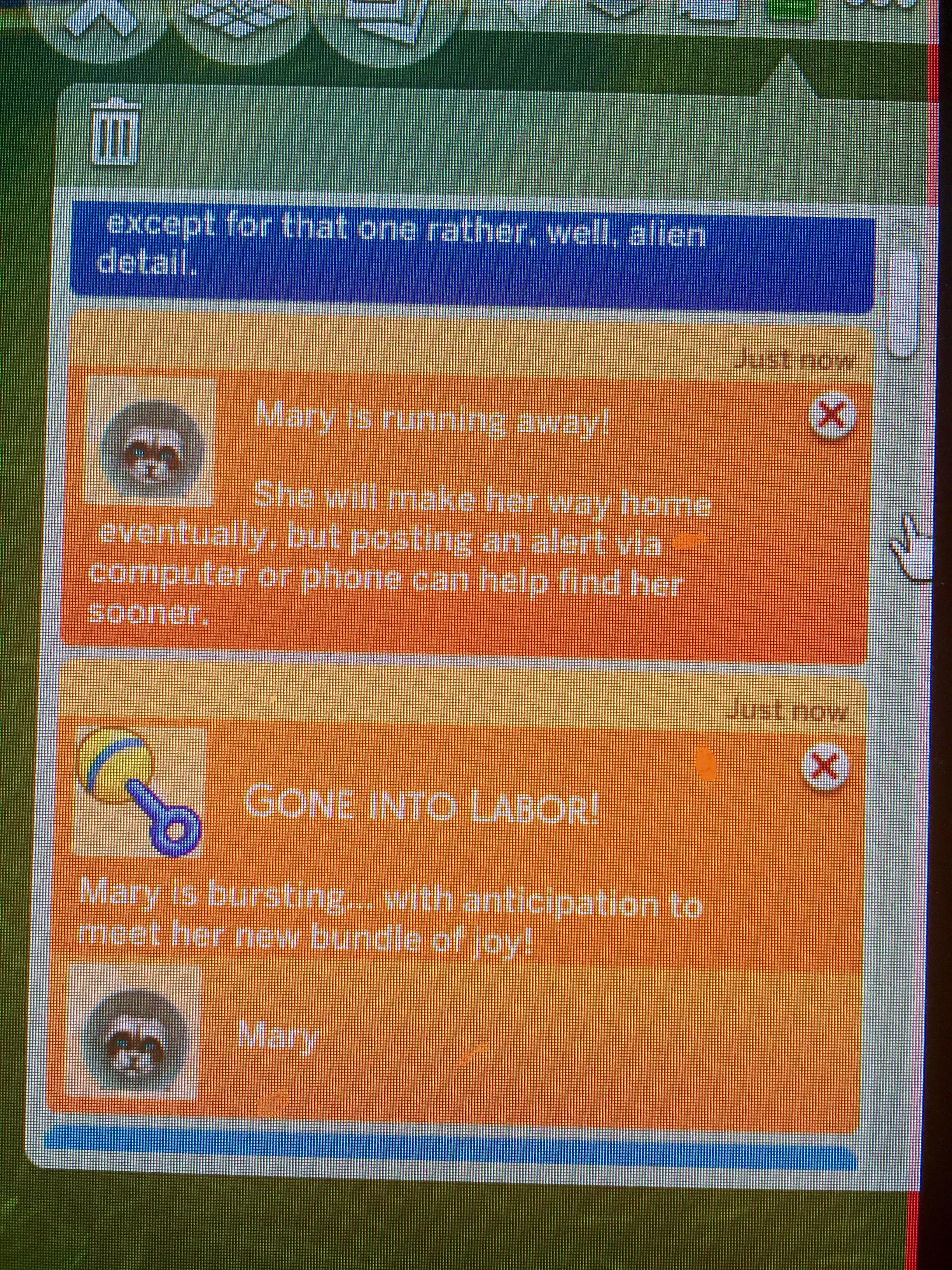 My sims cat began to run away while in labor. r/thesims