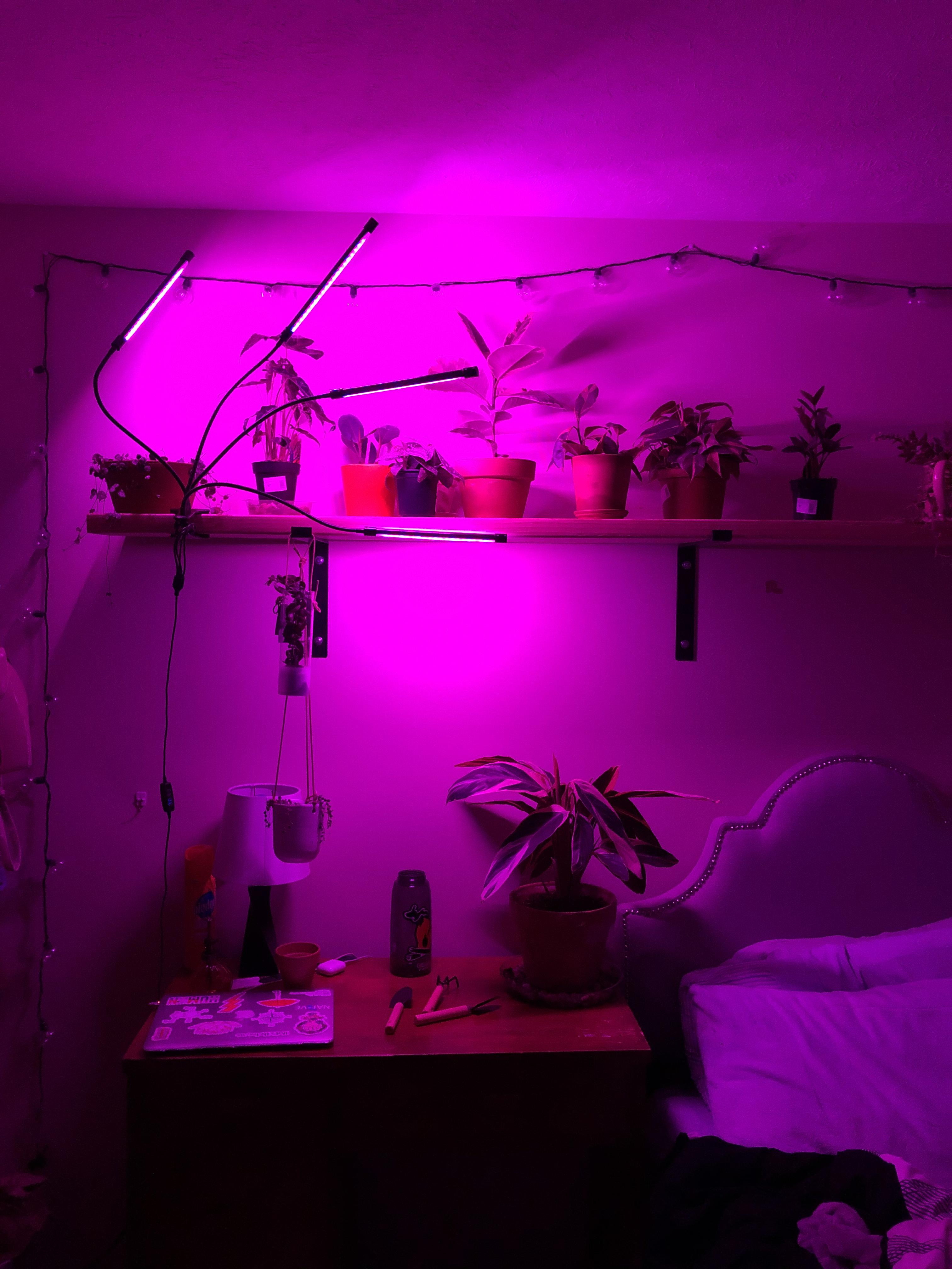 Are my grow lights too close to my plants? Is that even a thing? I don