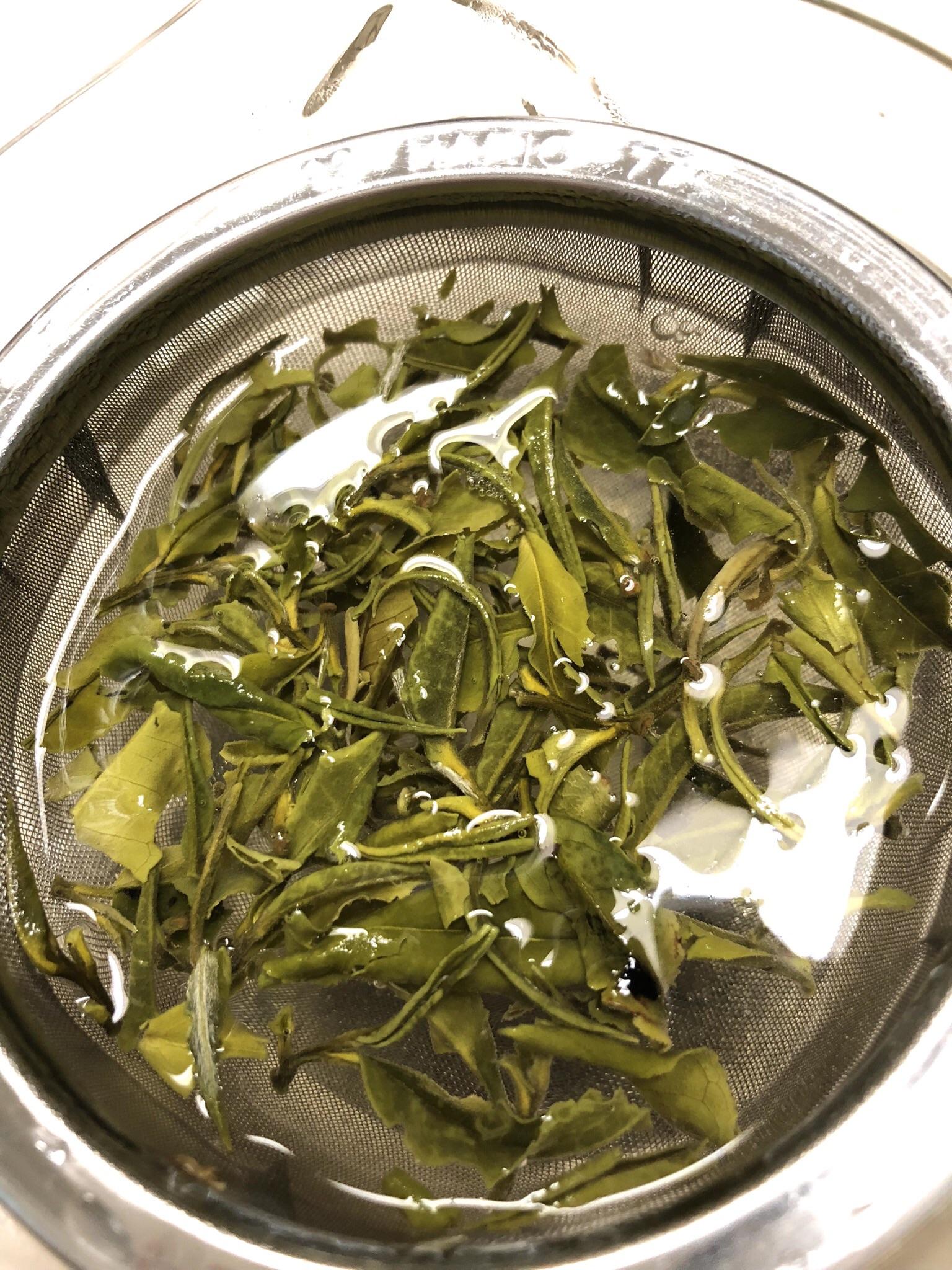 Pretty photo of my white tea steeping r/tea