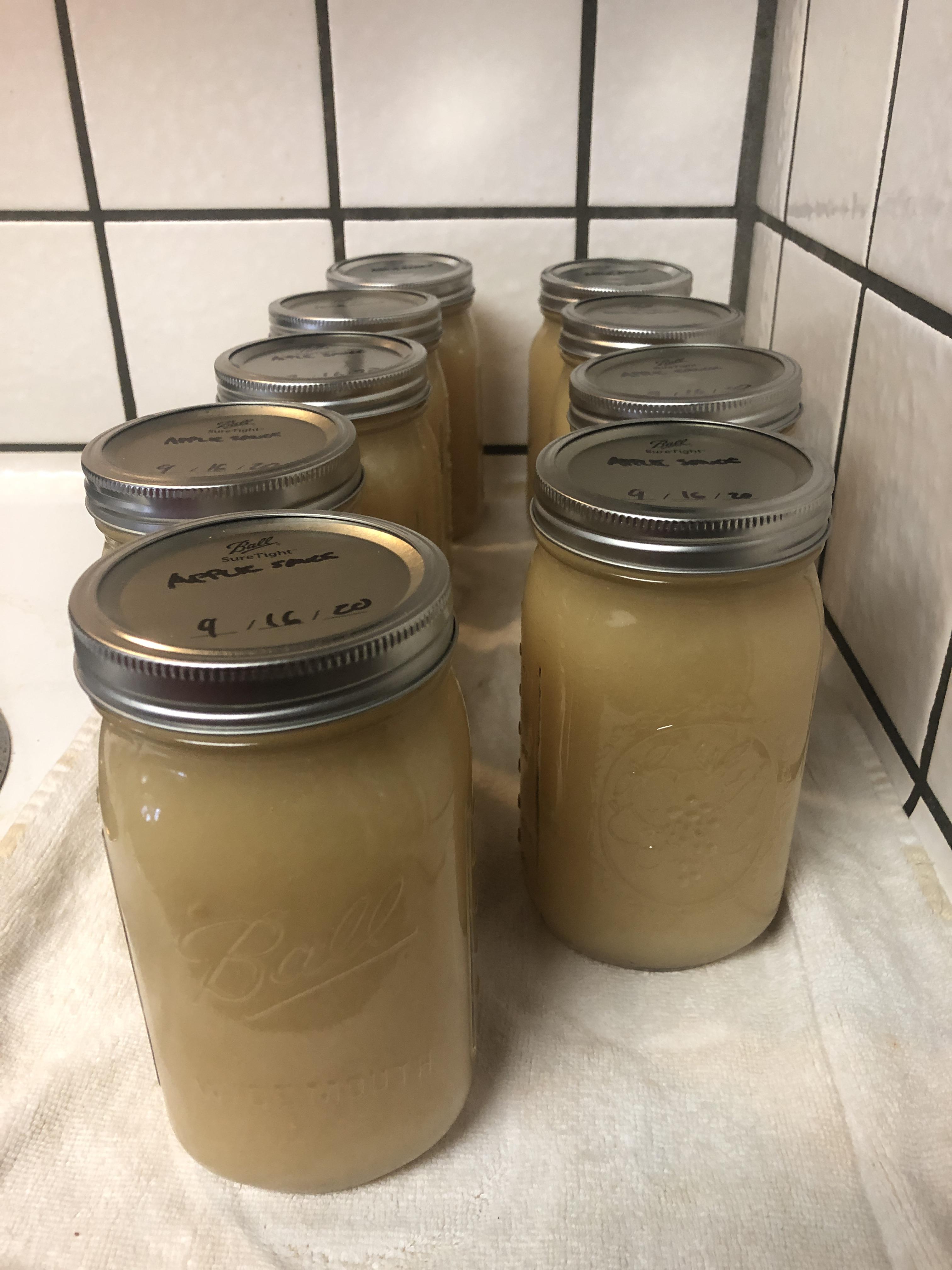 Jonagold Apple Sauce r/Canning