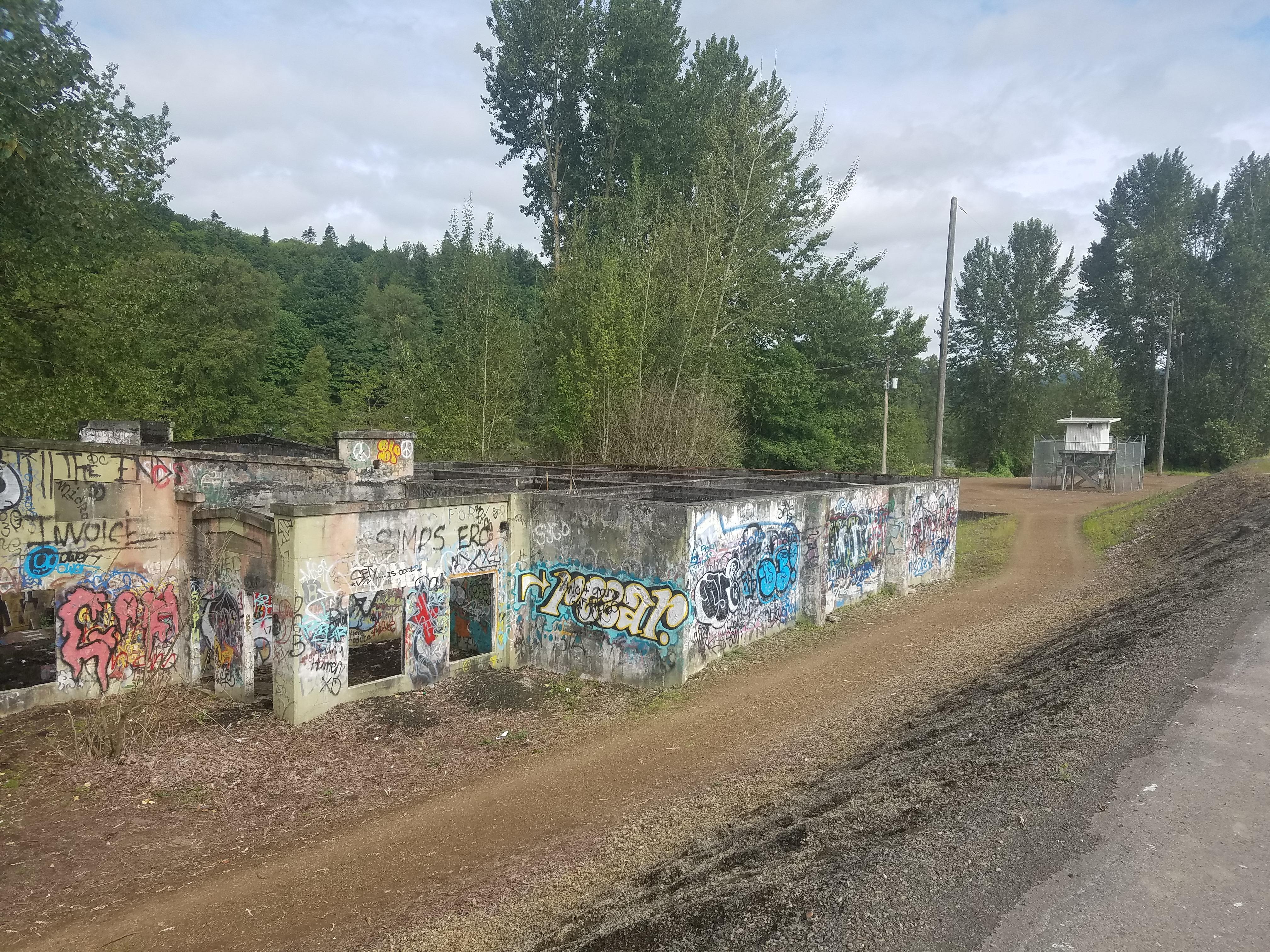 Kelso, WA What we found on our walk today. r/pics