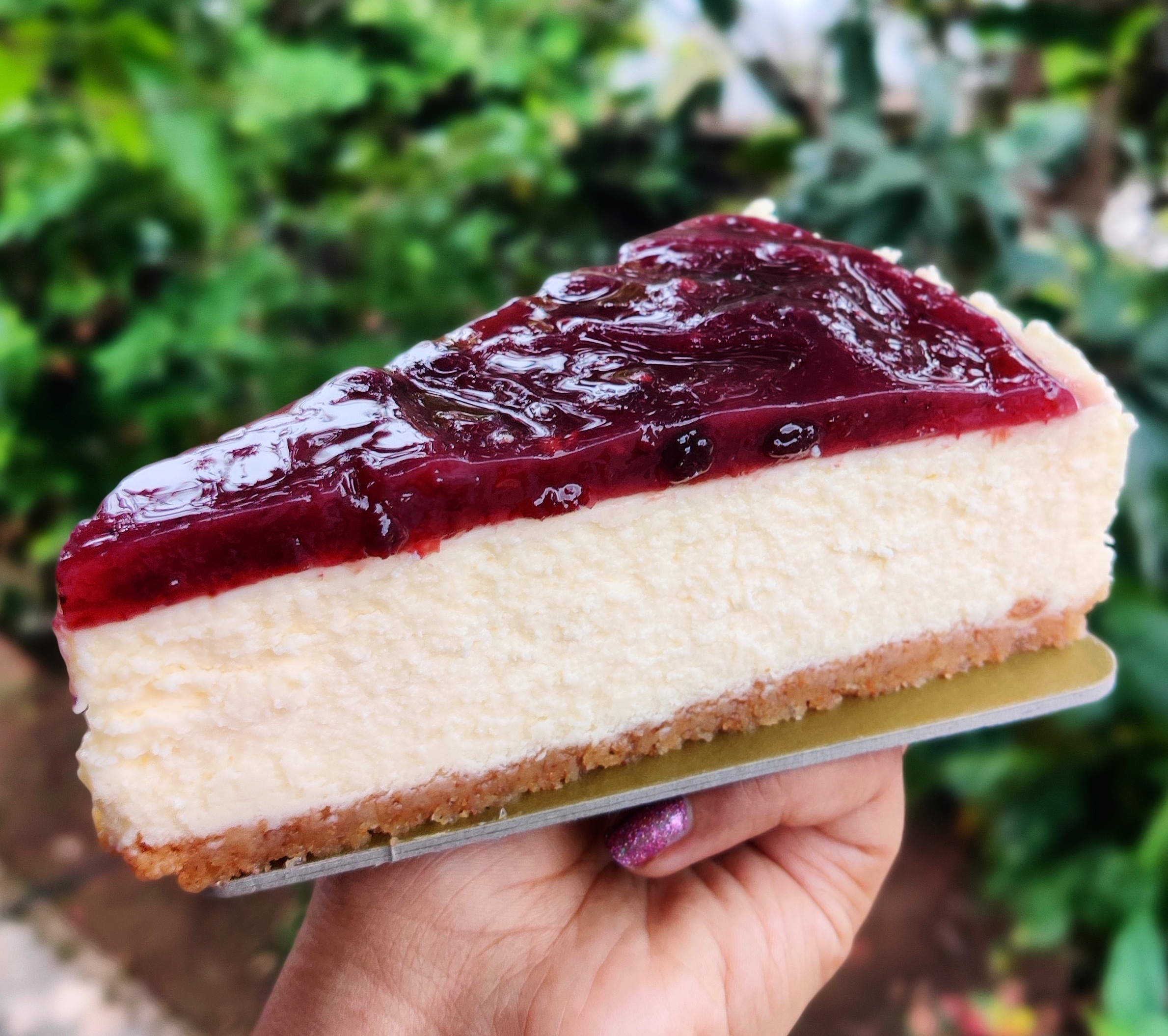 [Homemade] Baked Cheesecake r/food