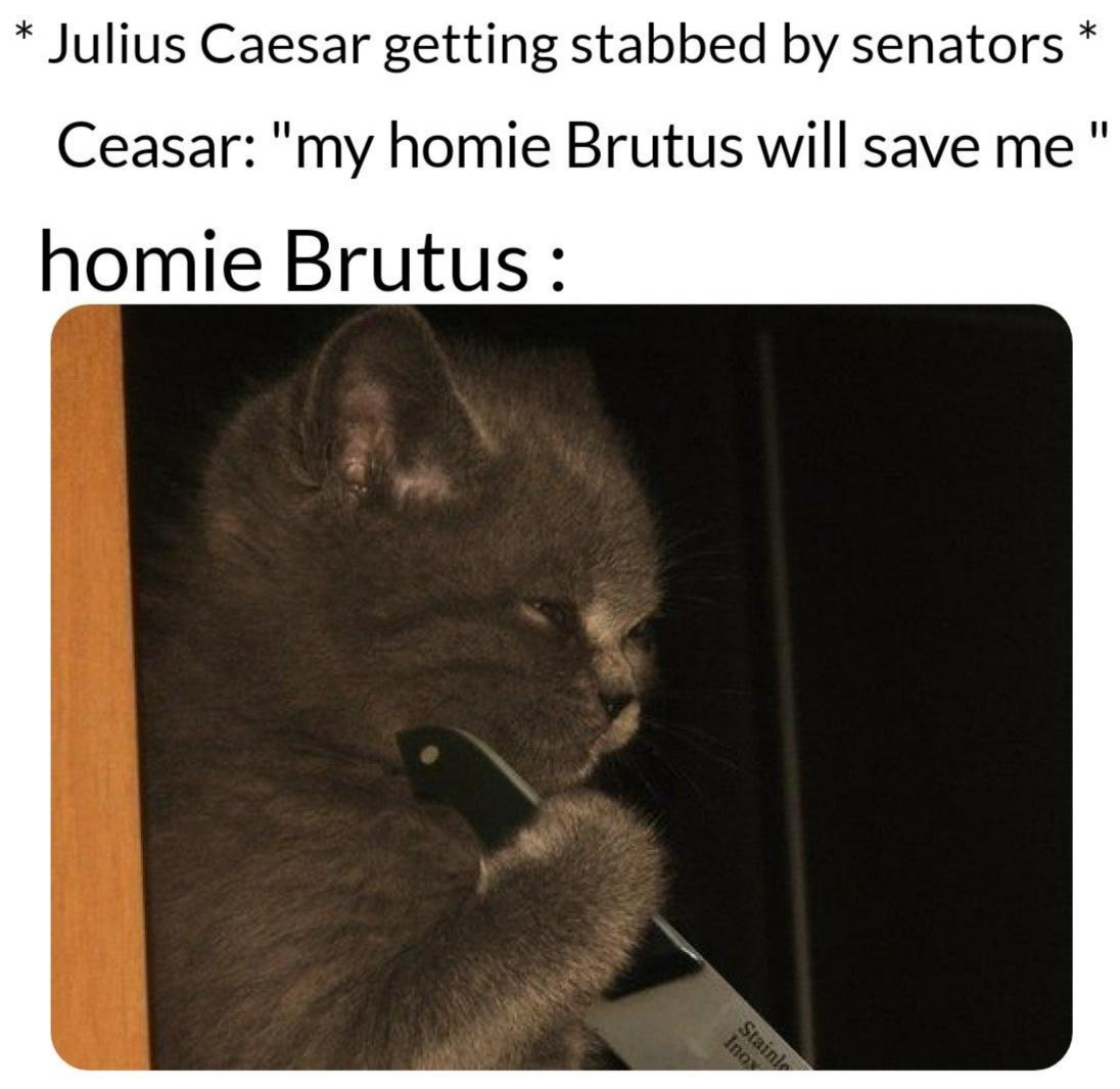 OK, my turn! dankmemes