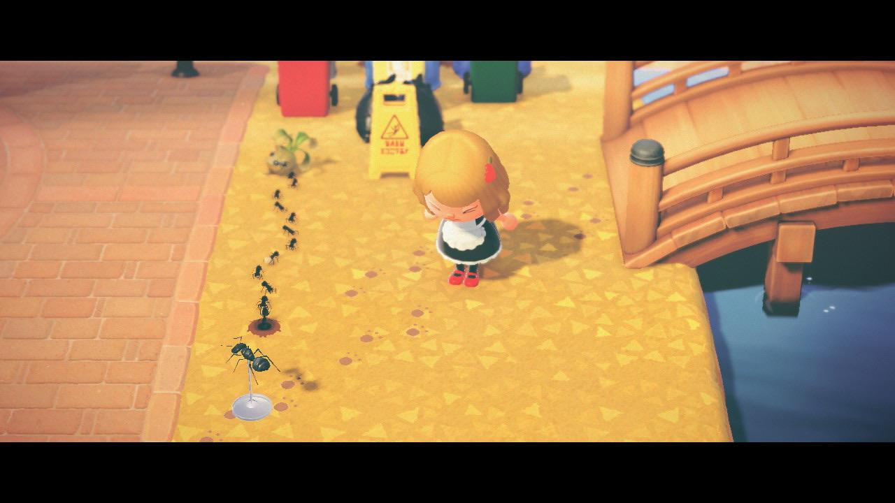 ALL HAIL THE QUEEN ANT r/AnimalCrossing