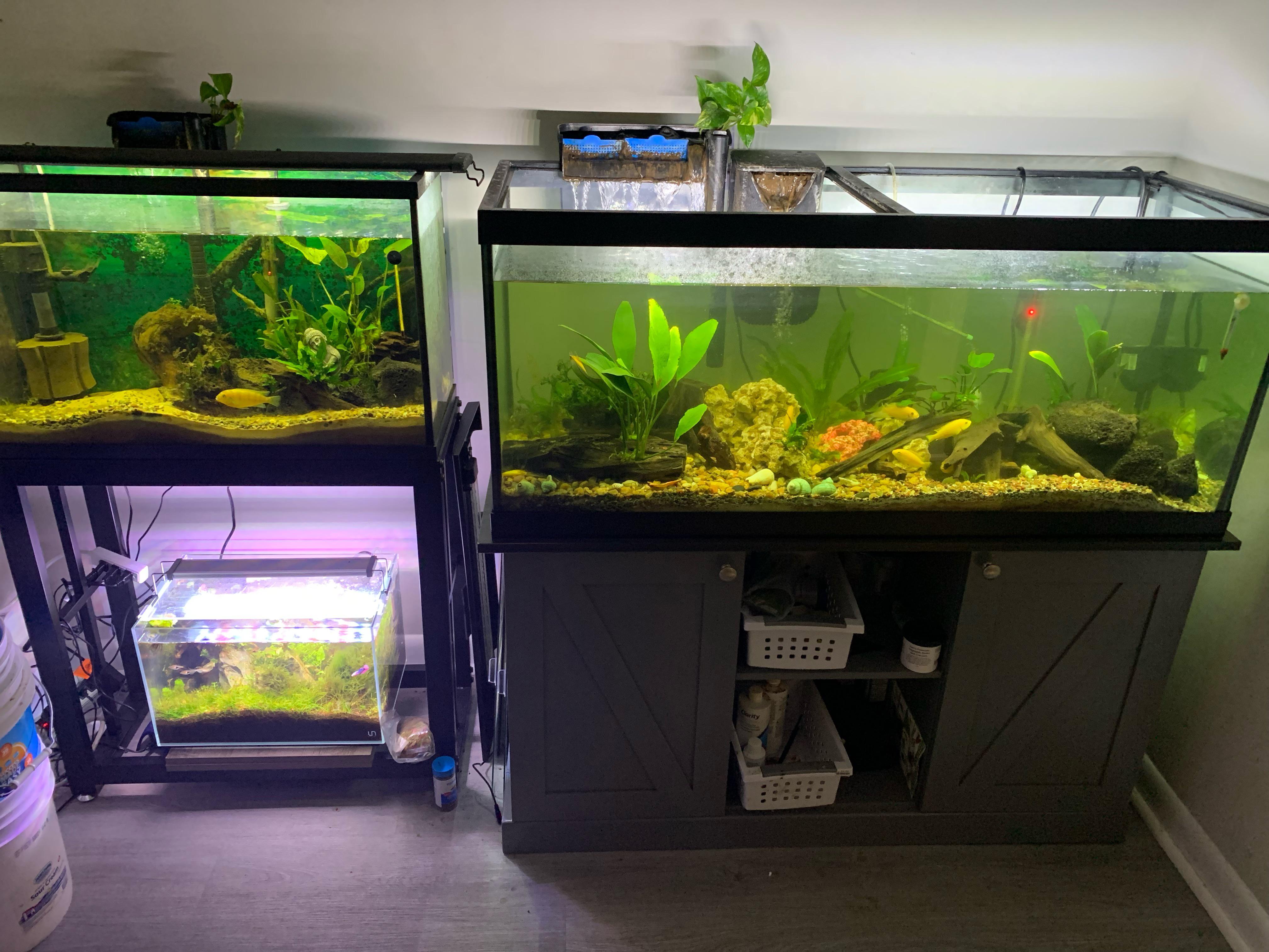 All 3 current set ups r/Aquariums