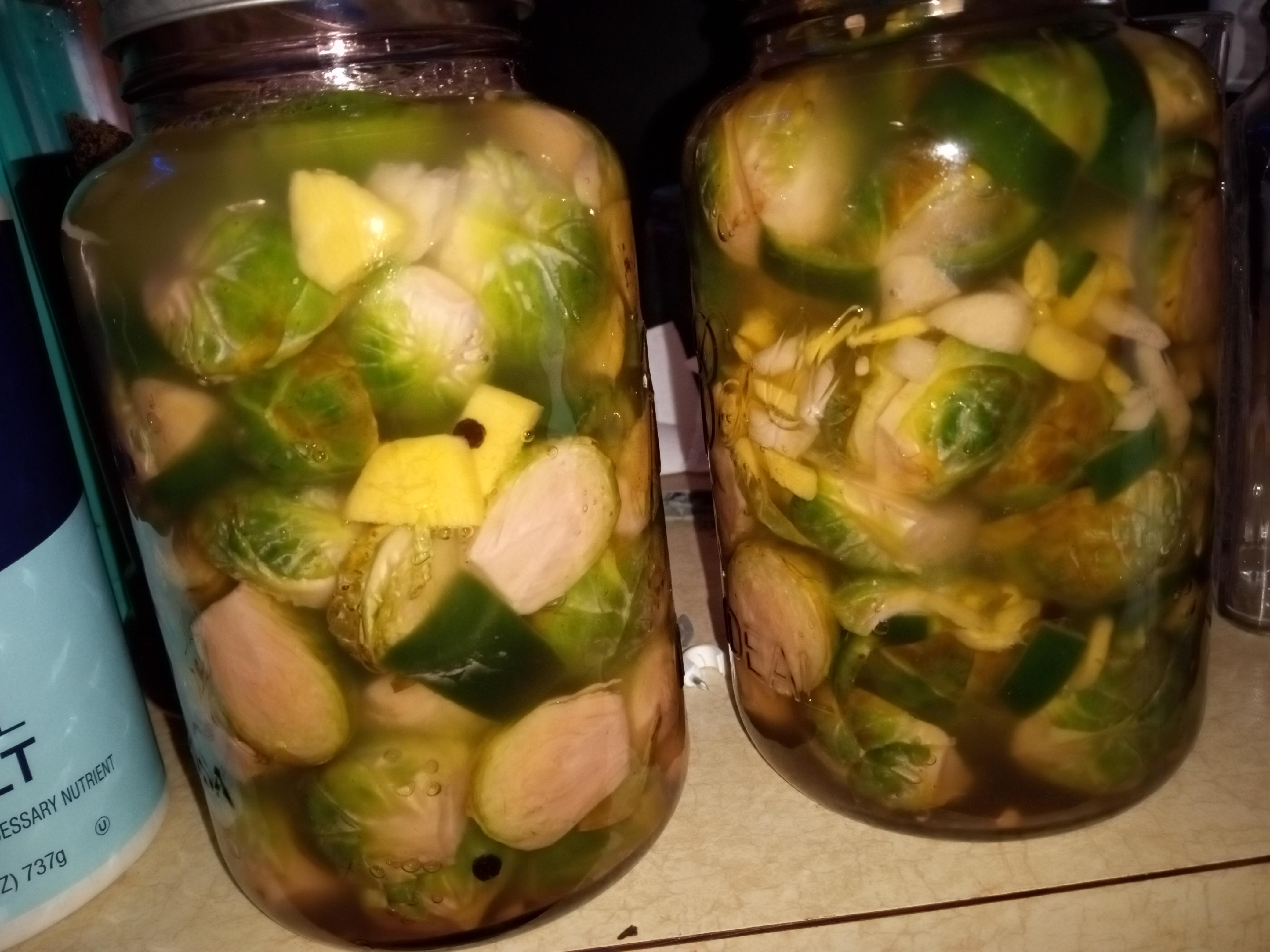 Day 3 Brussel Sprouts r/fermentation
