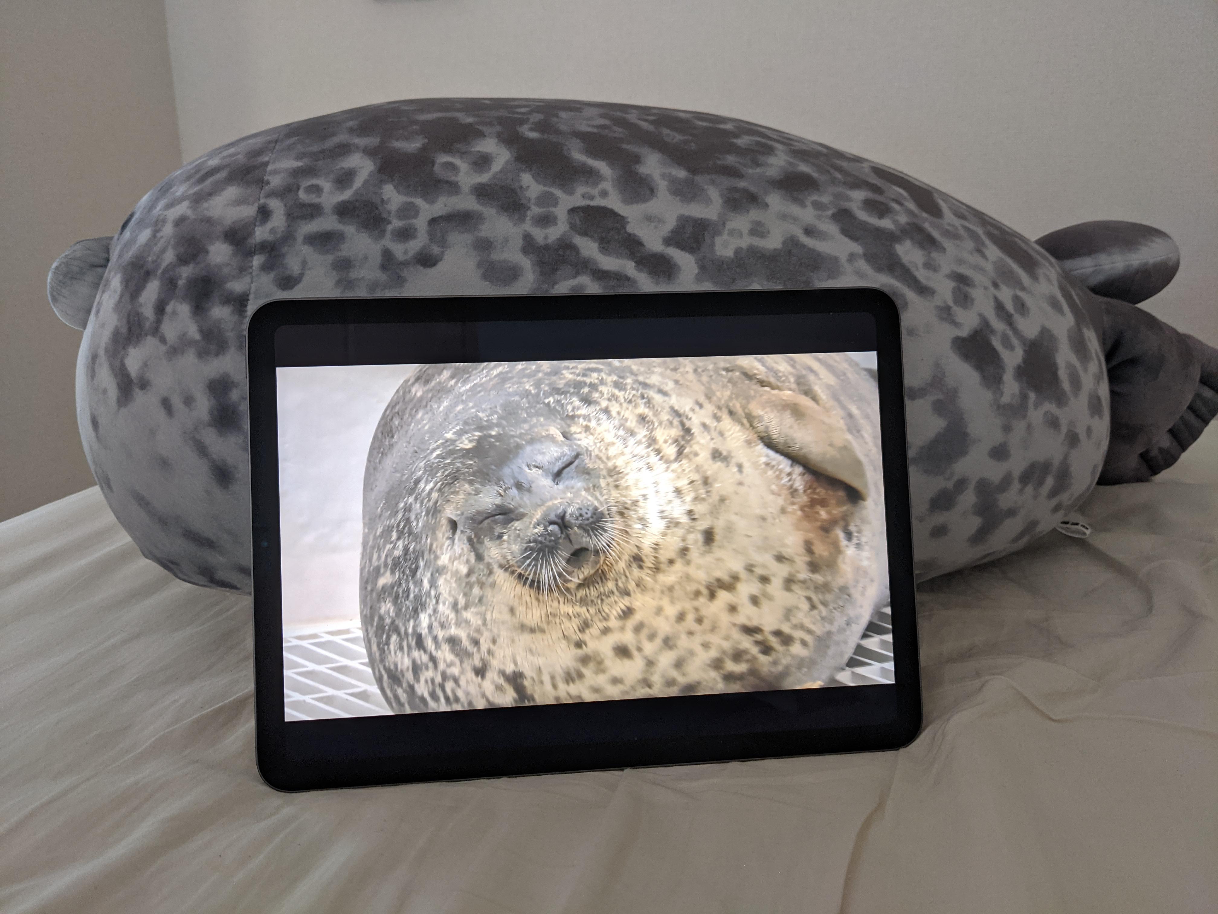 How to utilize yuki pillow on the bed r/seals