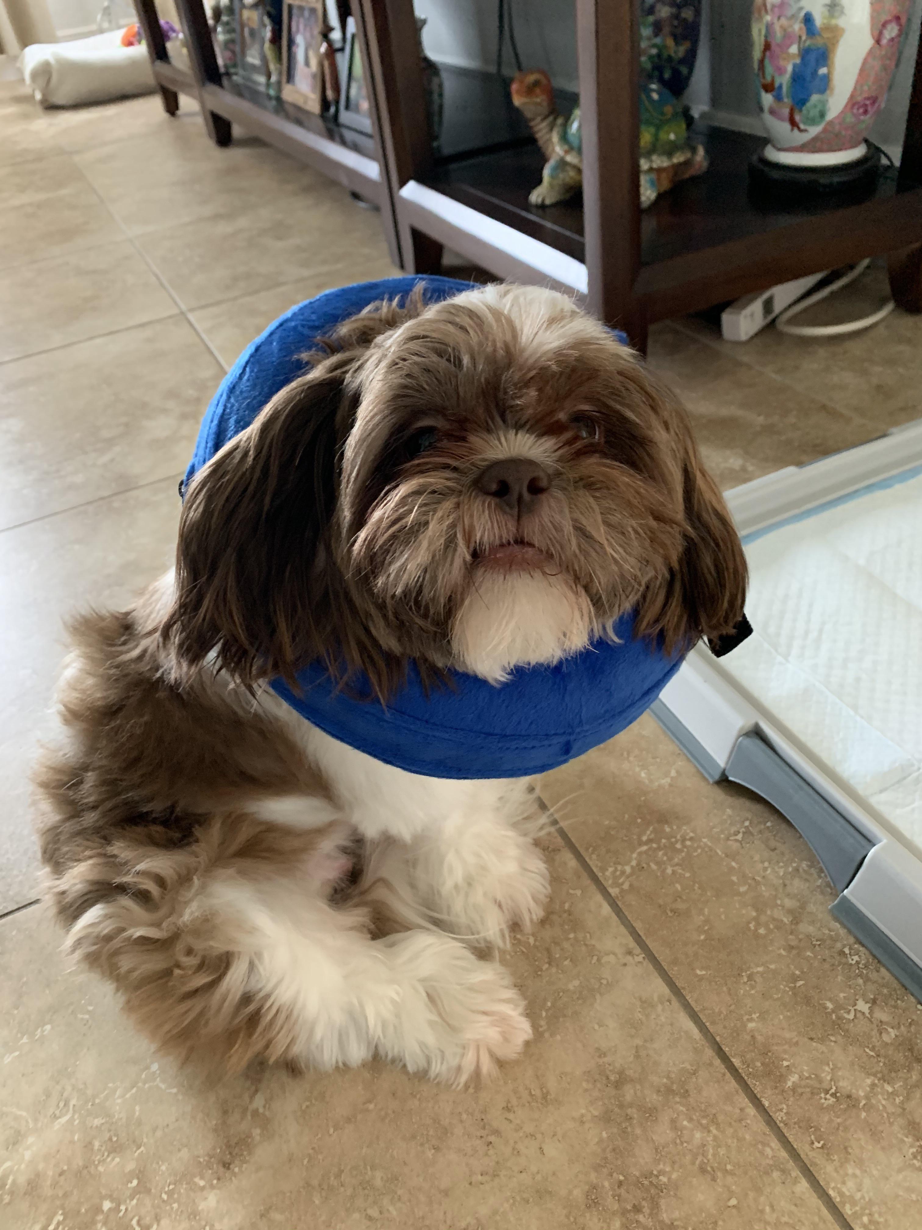 “Okay, why did you put this freaking thing around my neck again