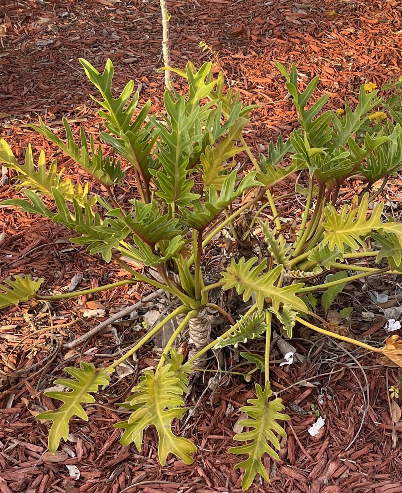 Posts by u/PhilODendron ・ popular.pics ・ Viewer for Reddit