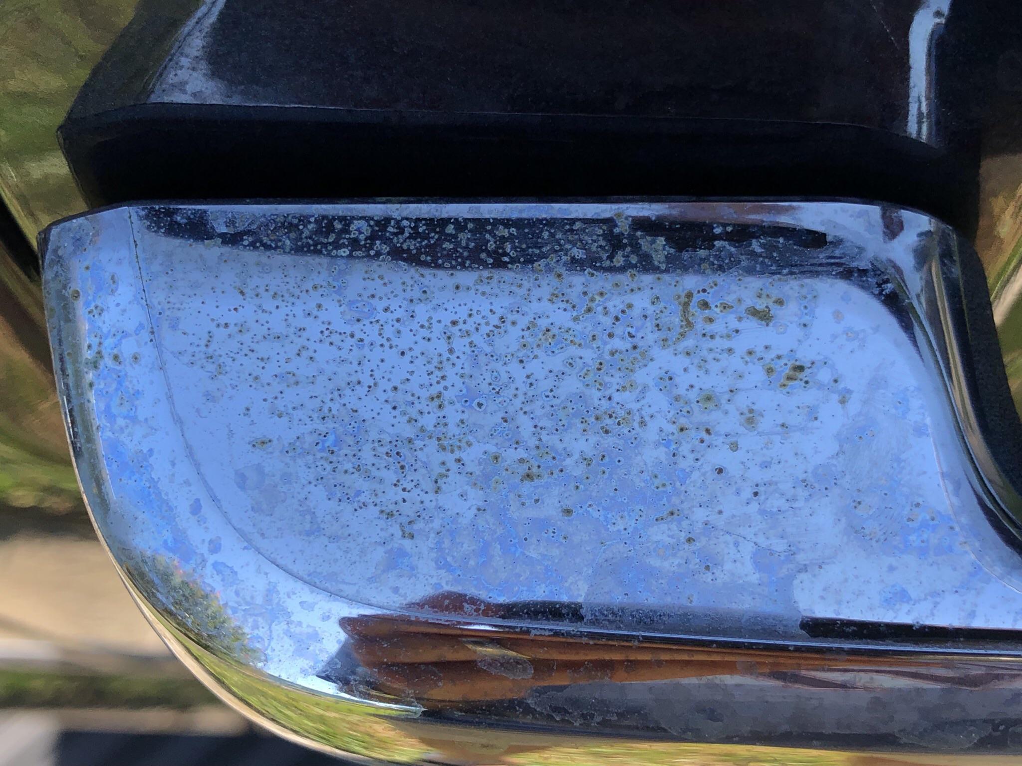 How do I prevent this pitting on my Chrome door handles? r/Cartalk