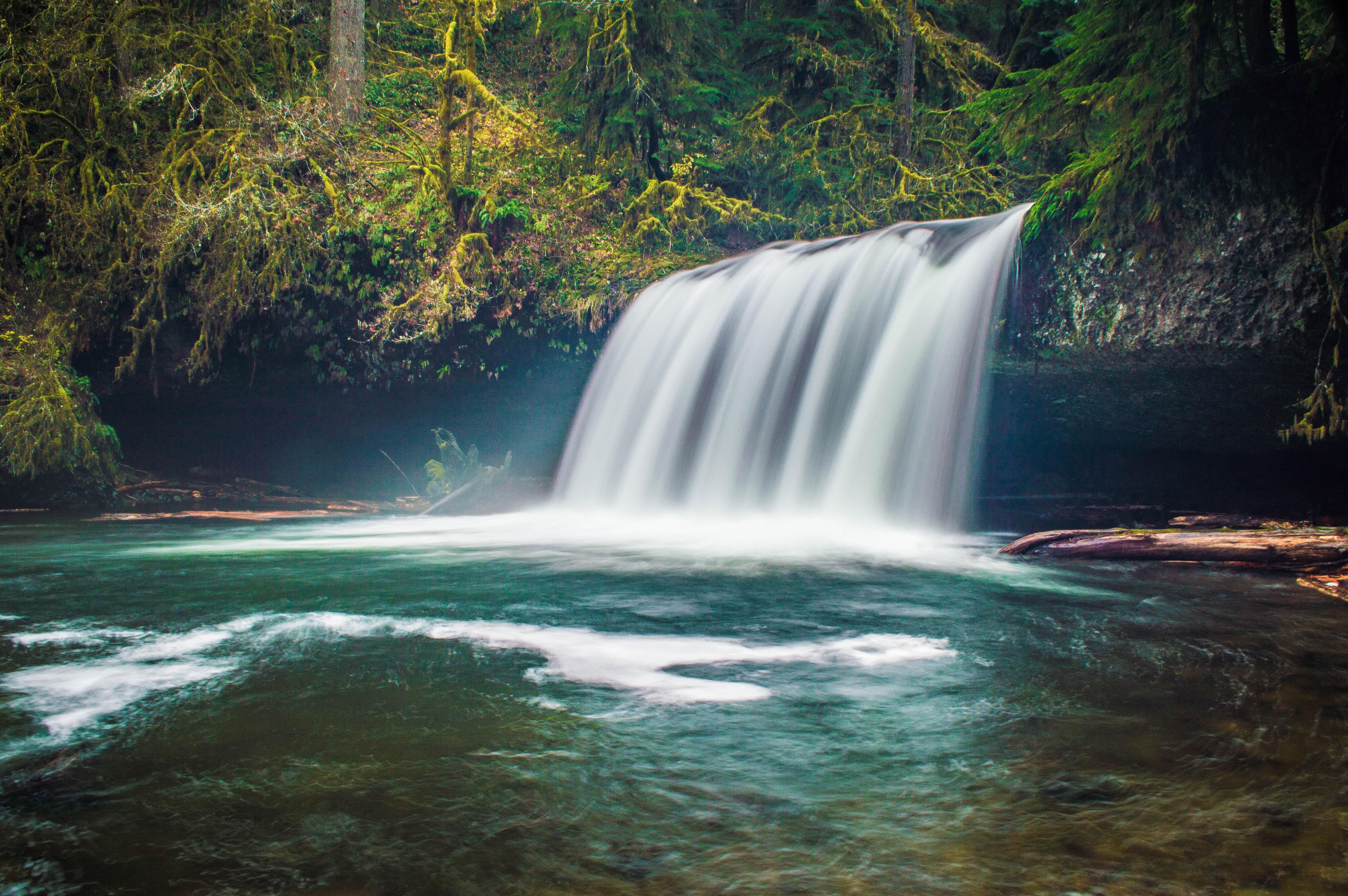 Upper Butte Creek Falls, Oregon (OC) [6016x4000] r/EarthPorn