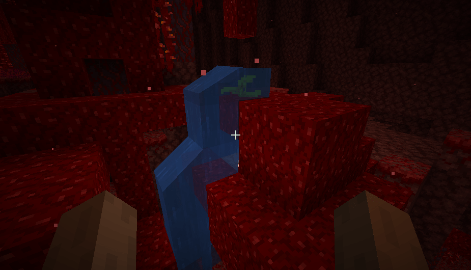 water in nether r/PhoenixSC
