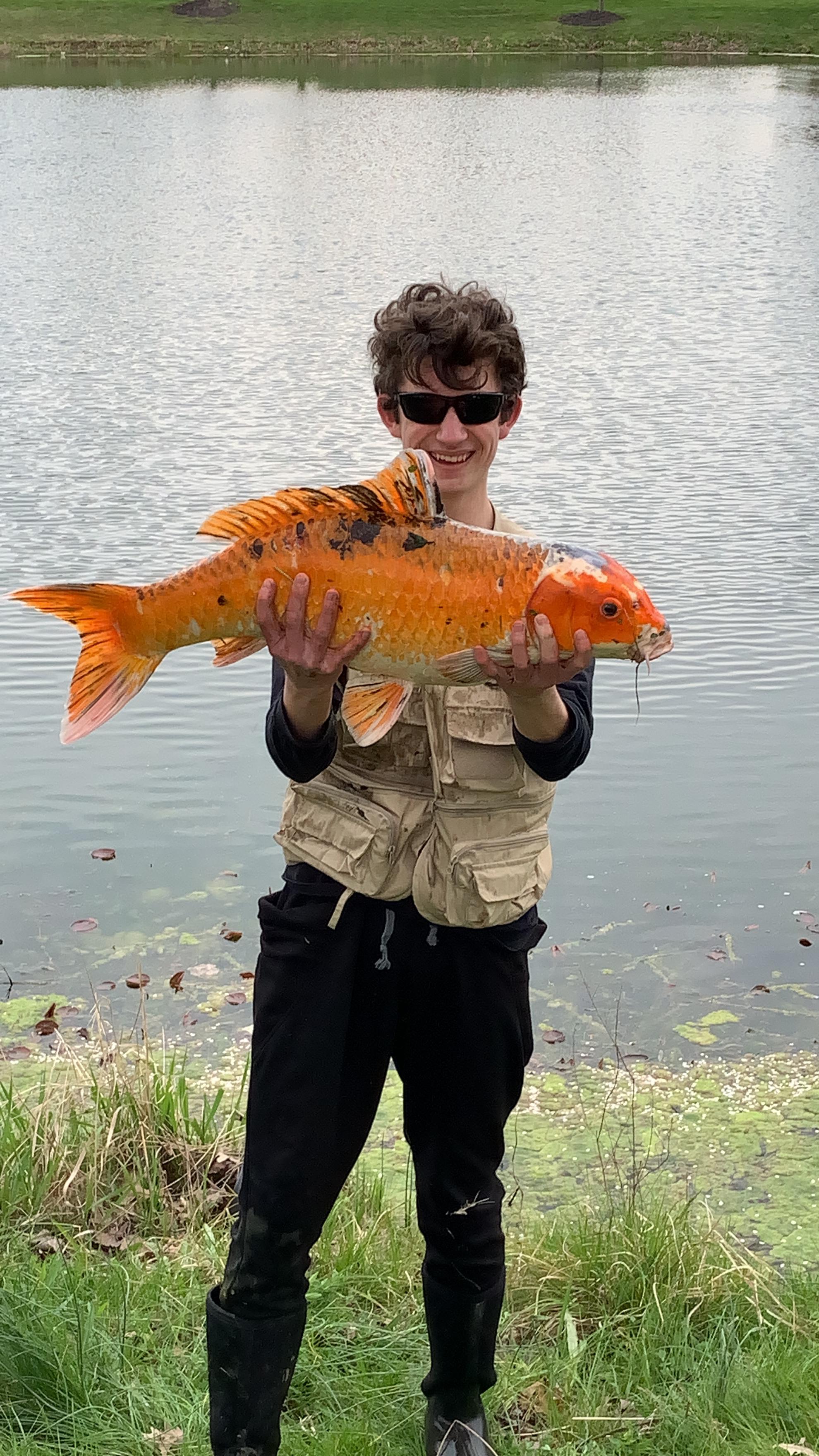 This was on my fishing reddit. Apparently someone didn't want their koi