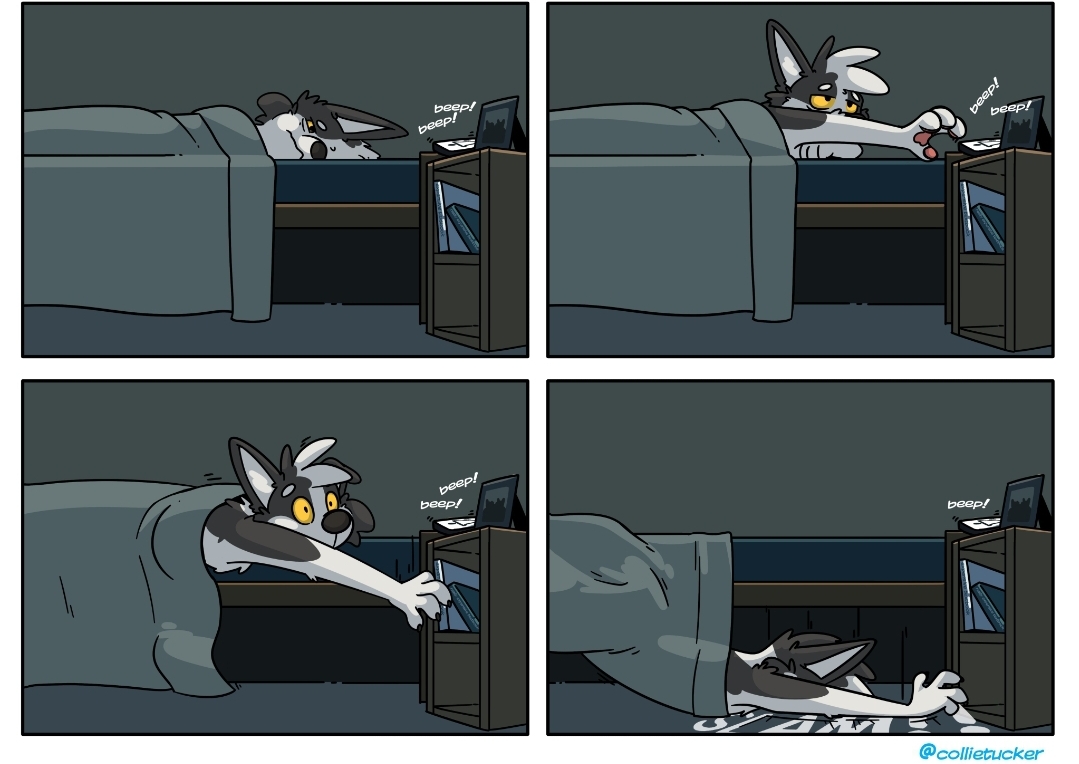 Alarm_irl r/furry_irl