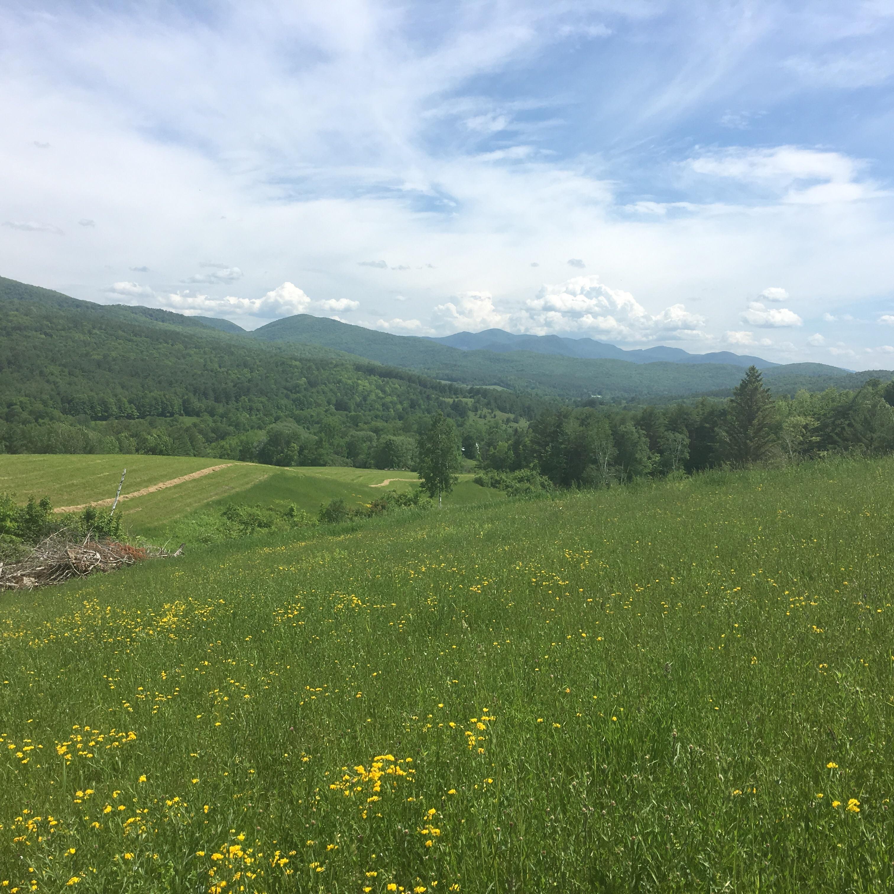 Taconic Mountains Ramble State Park, Hubbardton, Vermont [OC][3024x3024