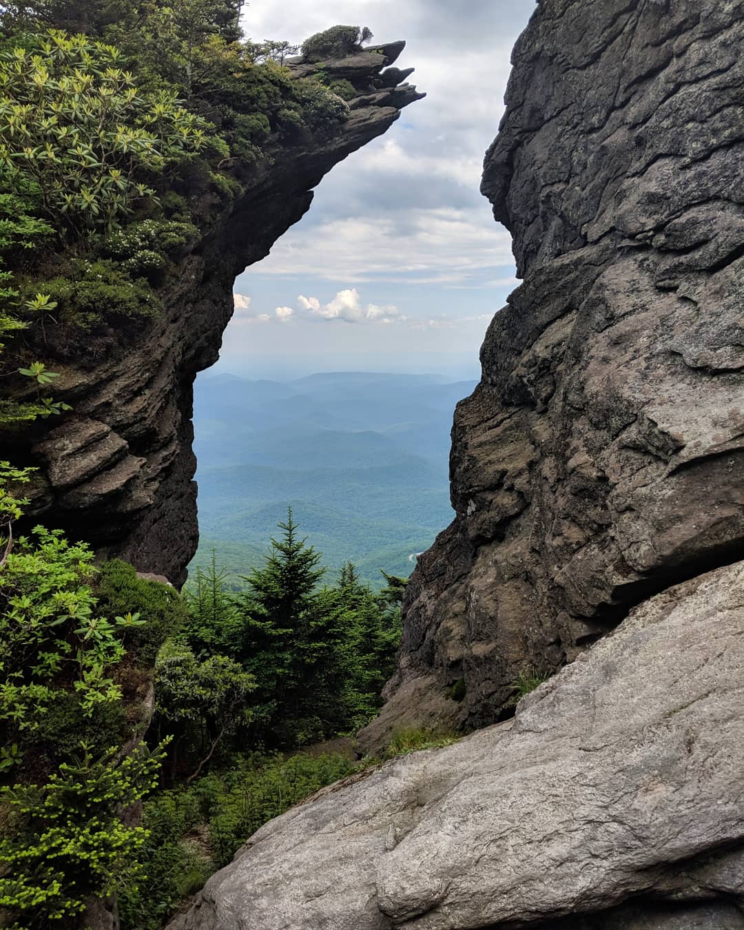 Grandfather mountain trail r/CampingandHiking