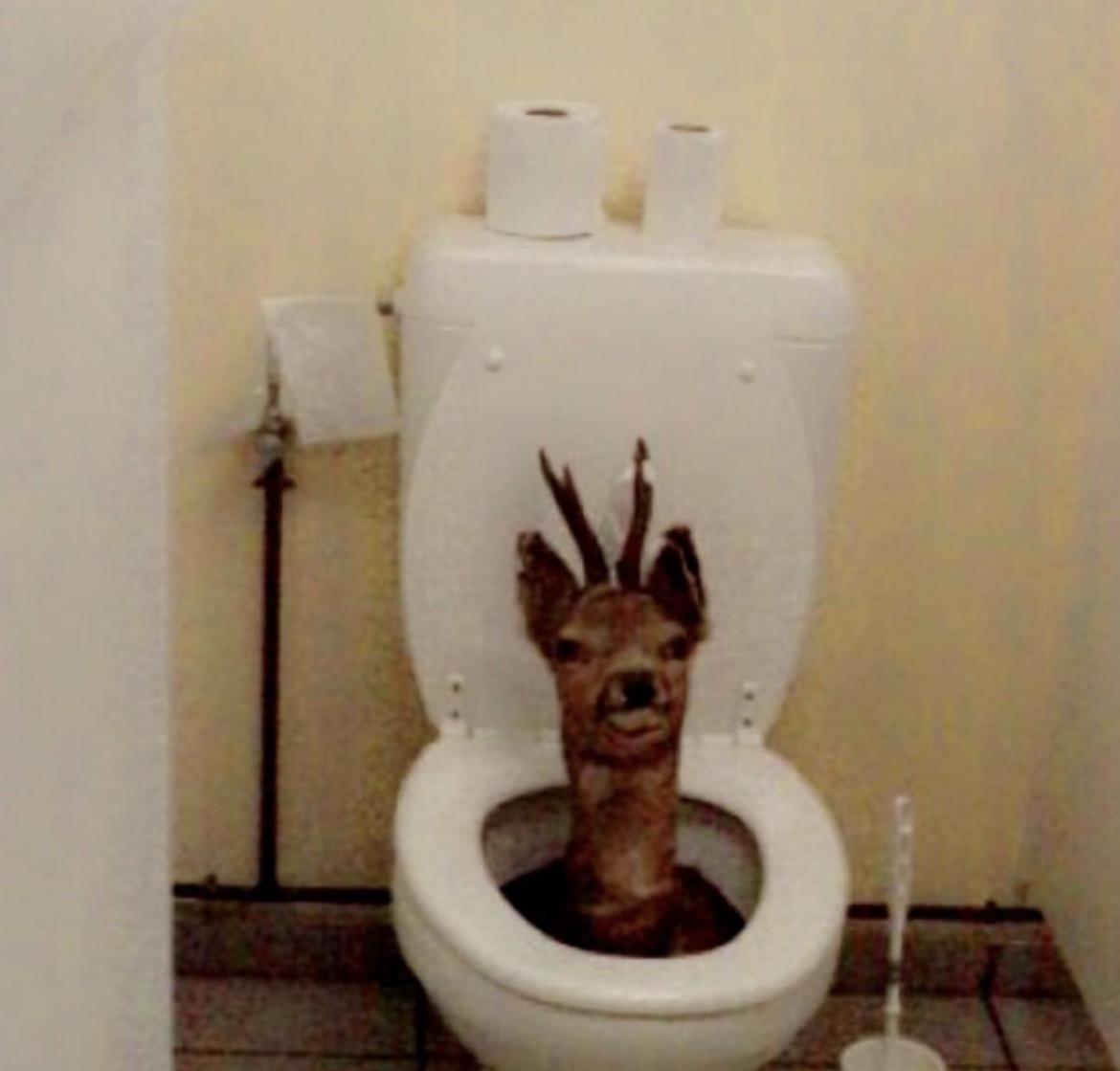 Toilet Deer. Caution, you may be in deep shit. r/Bossfight