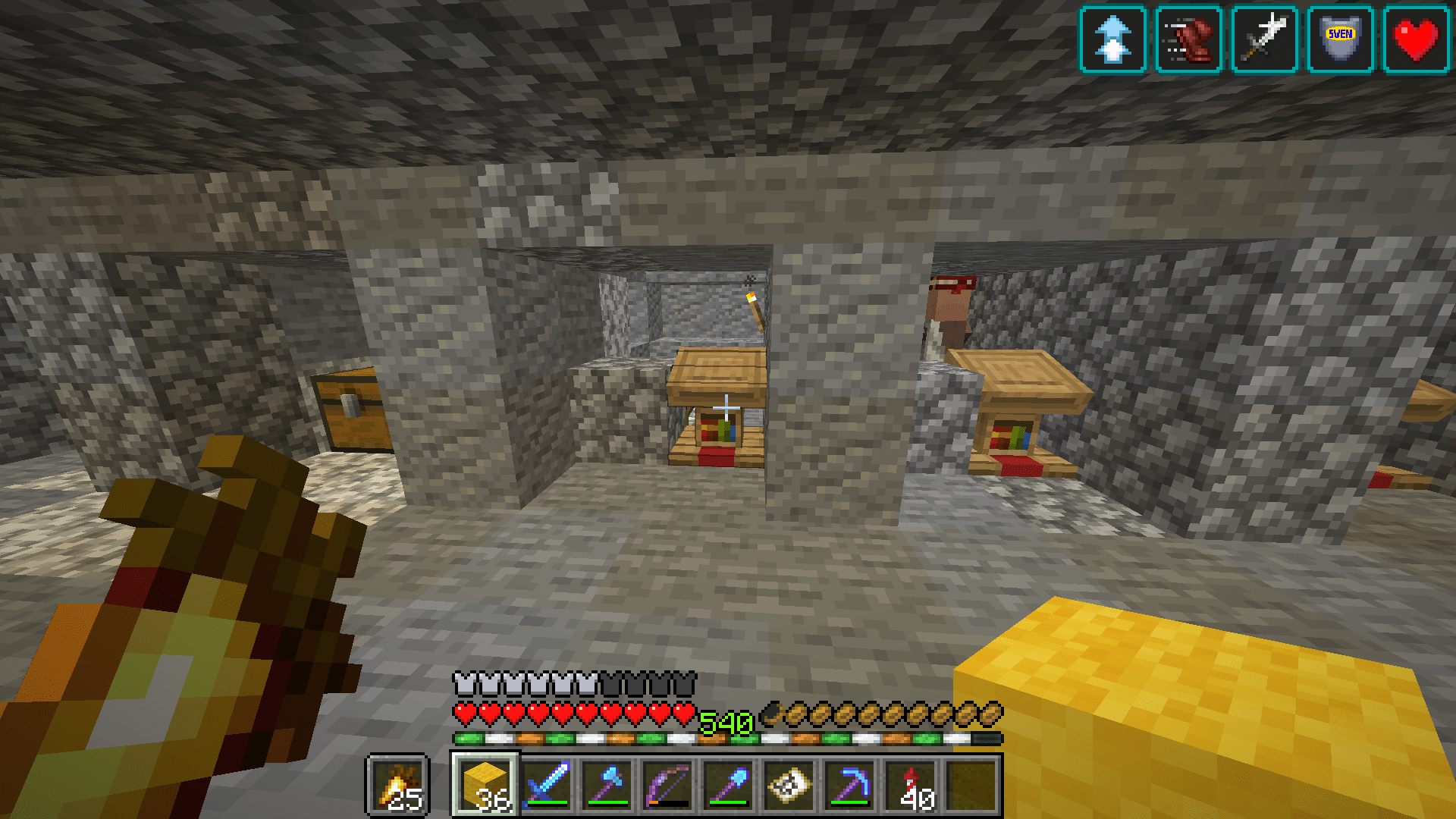 Sometimes some of my villagers disappear, but there is light enough and