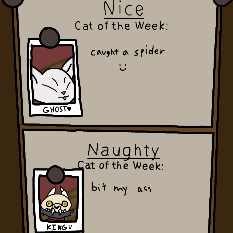 naught and nice cats of the week r/TheOwlHouse