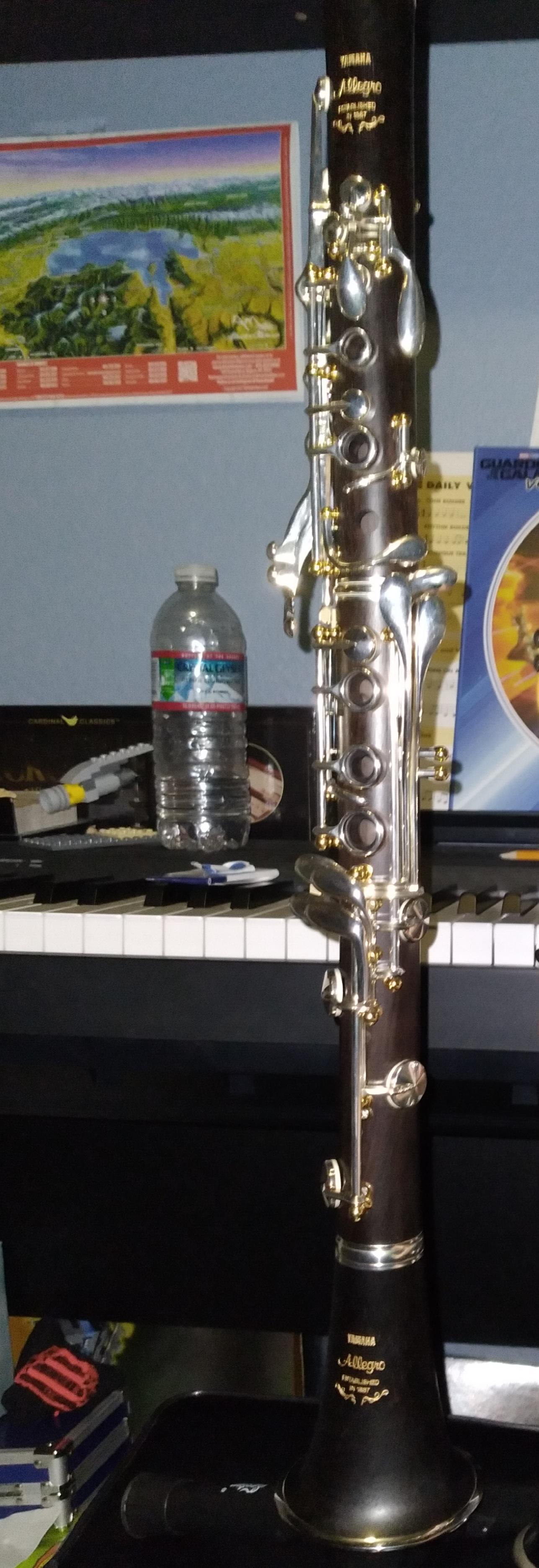 I made a playalong duet YouTube video for Hedwig's theme (for flute