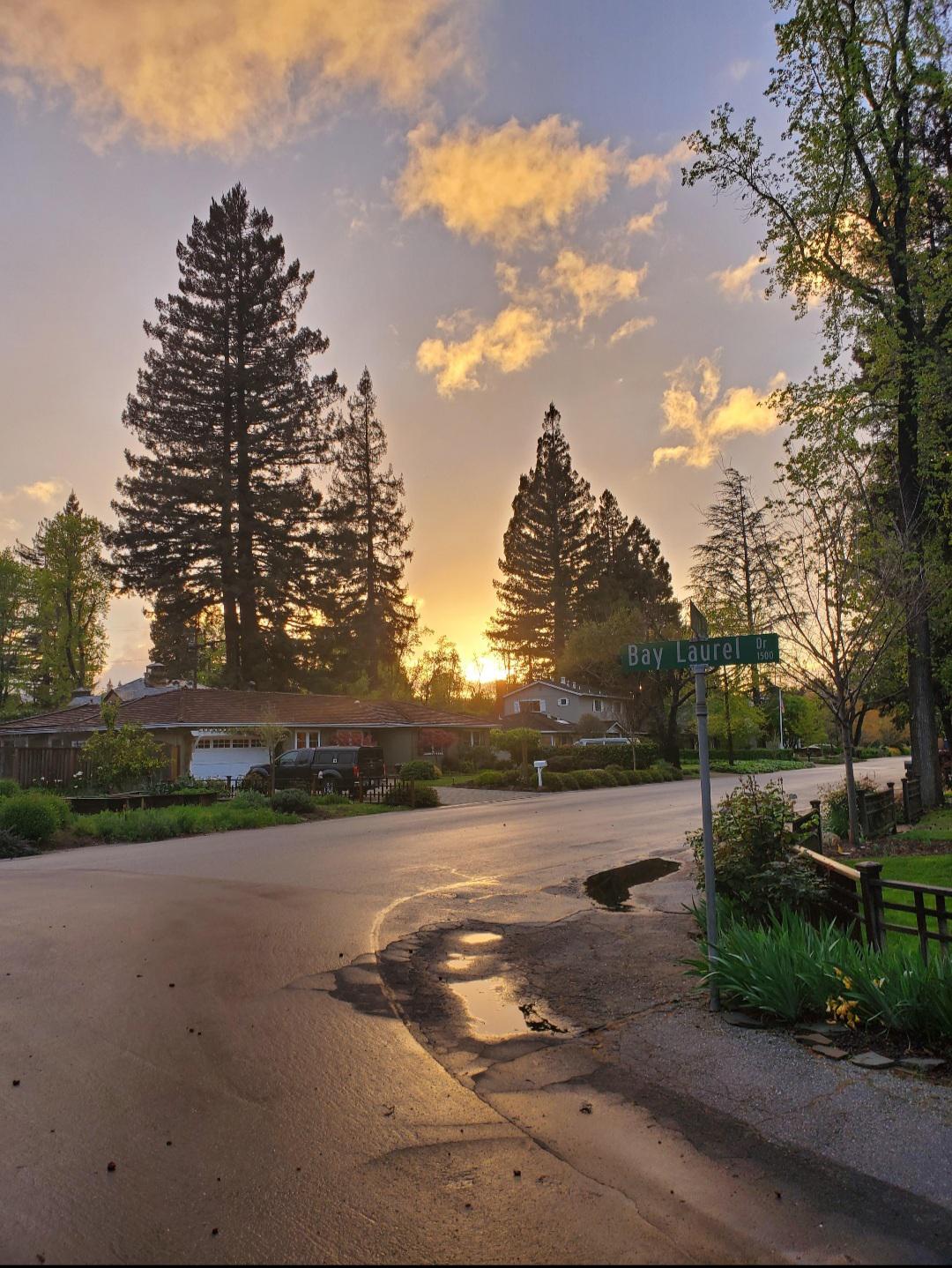 Took this picture a few months back. Menlo Park, Ca. r/pics