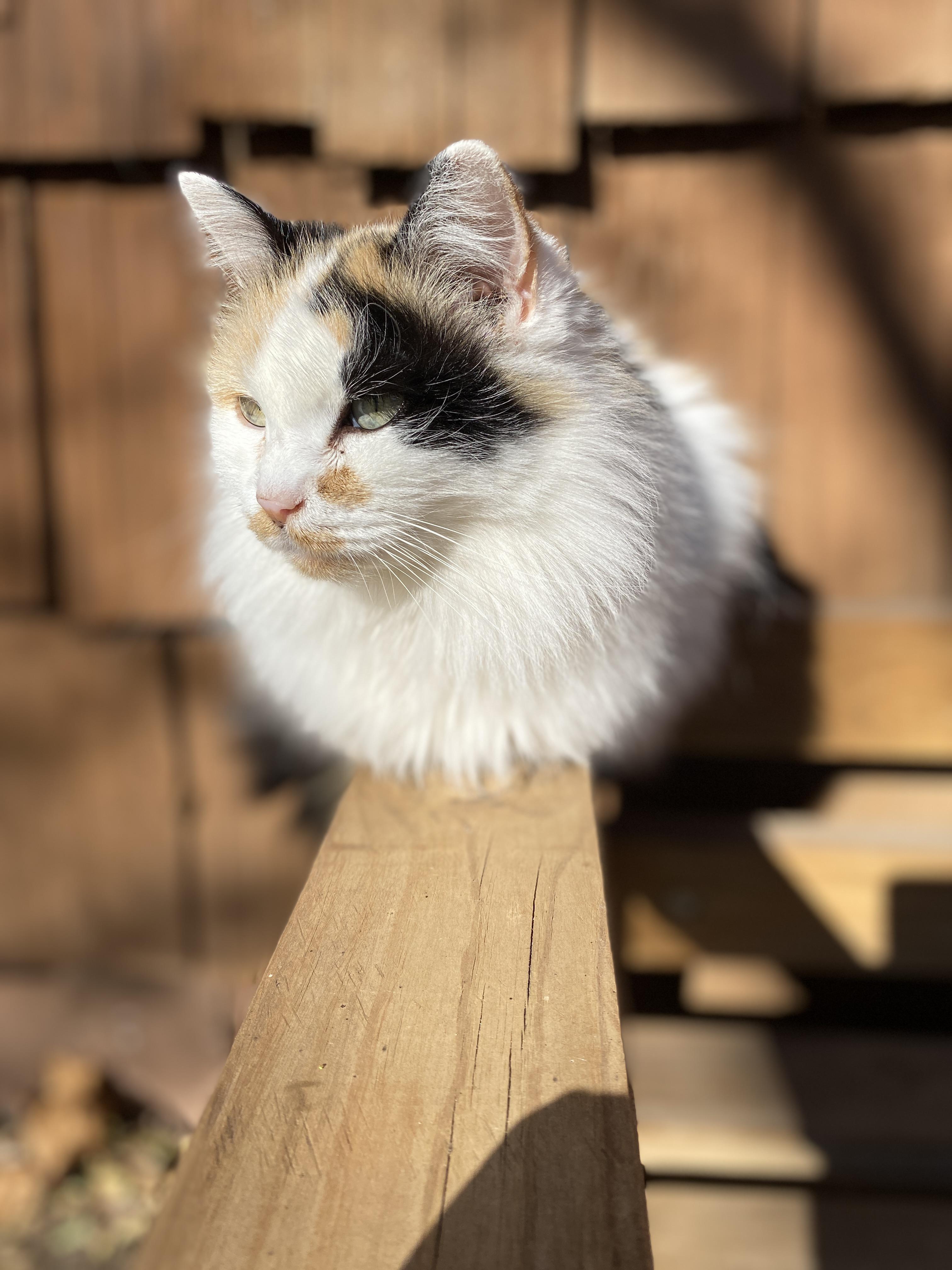 This old lady doesn’t remember where she is half the time and