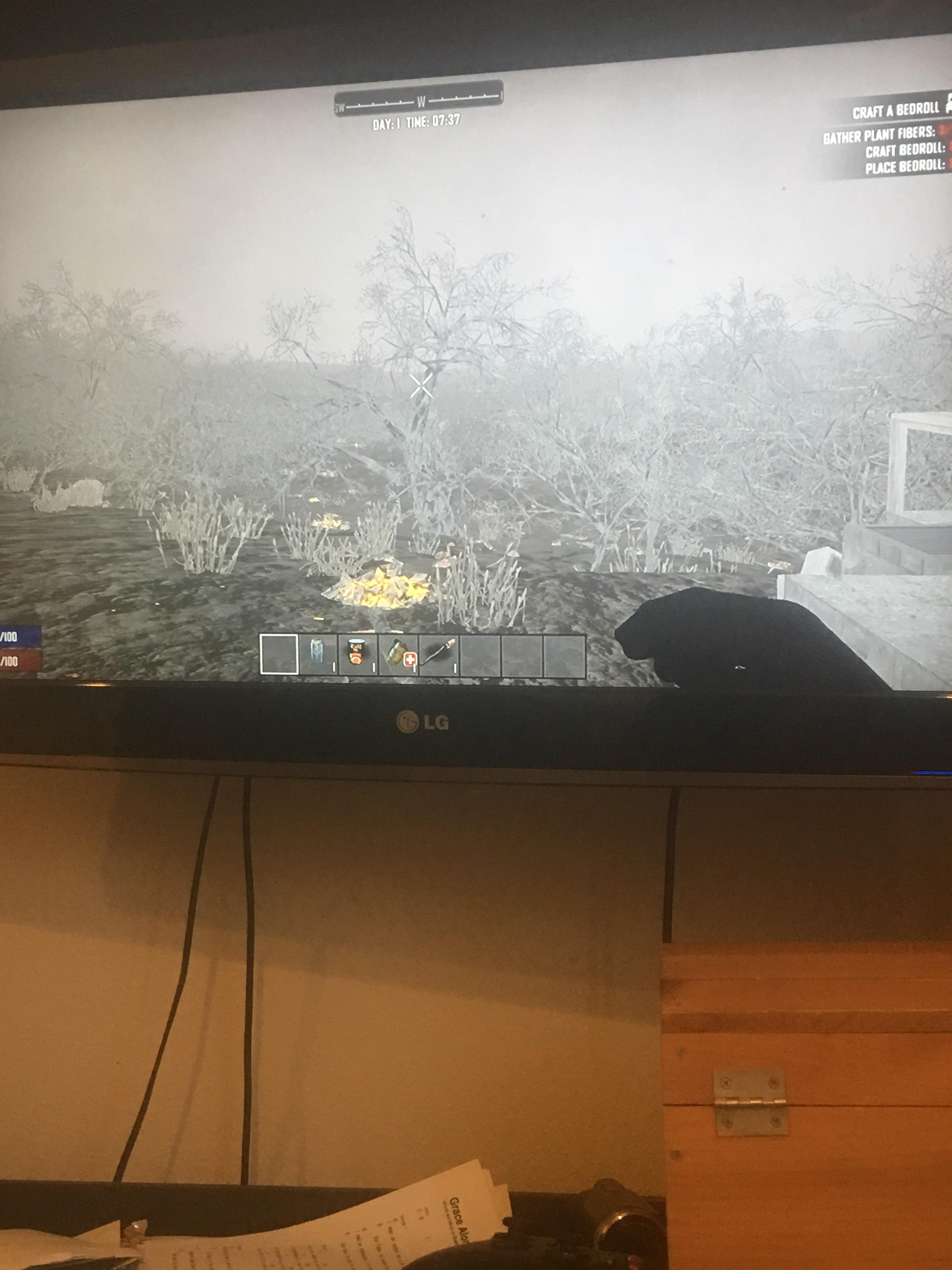 Why does my game look like this, on Xbox r/7daystodie