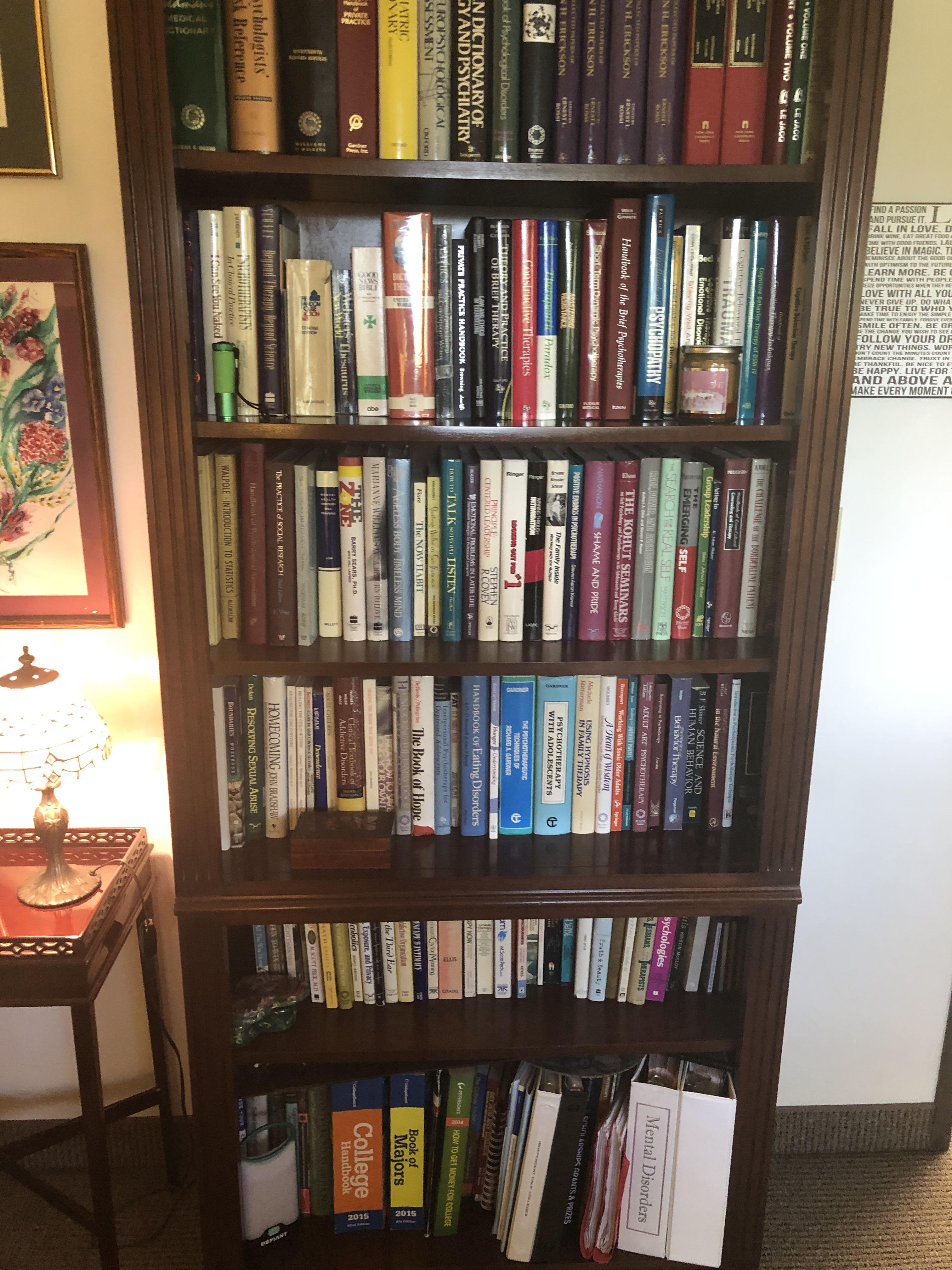 One of my therapists bookcases r/bookshelf