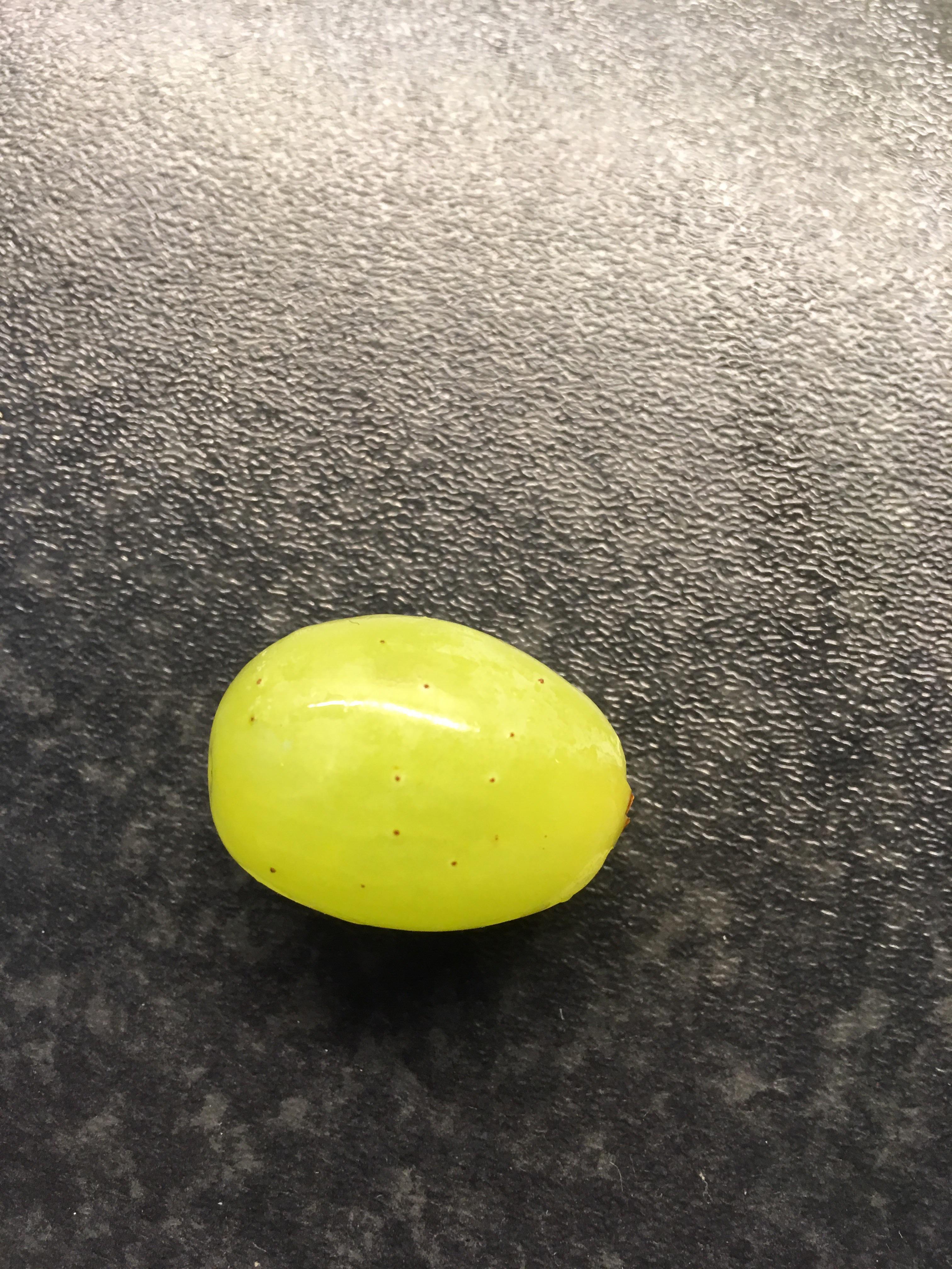 What are these tiny black/brown spots on my grapes? They are all over