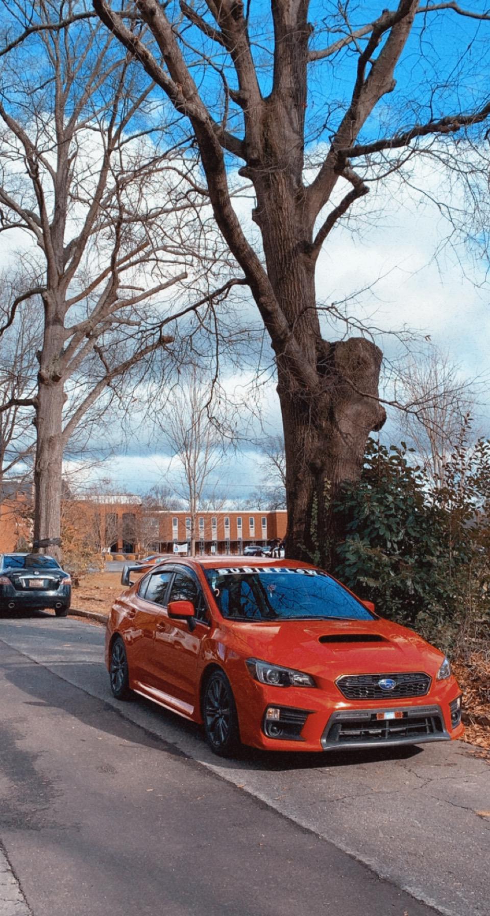 Car wash tip Don't park under a tree the day after r/WRX