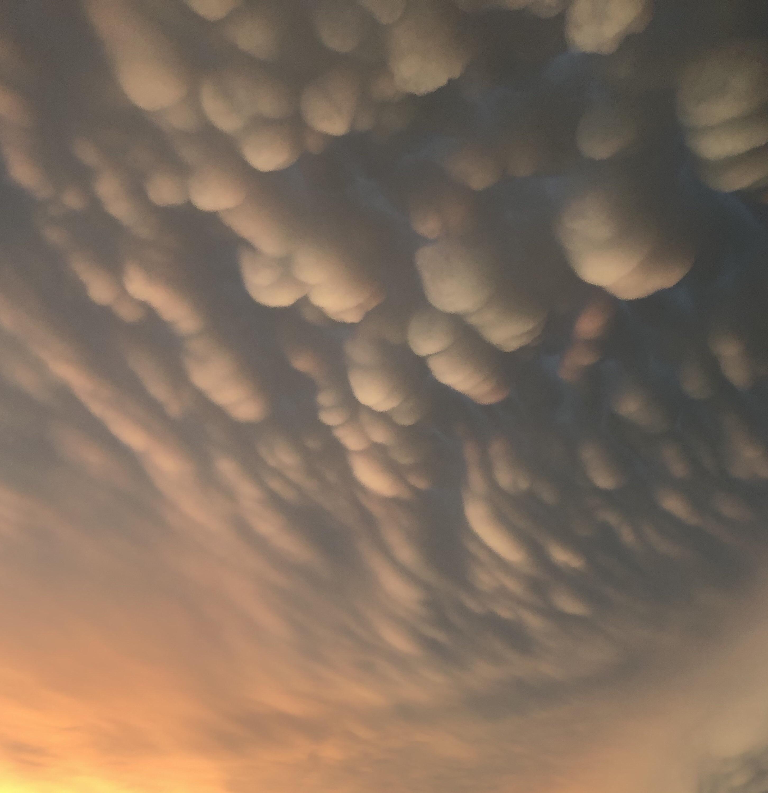 mammatus clouds (“mamma” or “mammary” meaning breast) r/mildlyinteresting