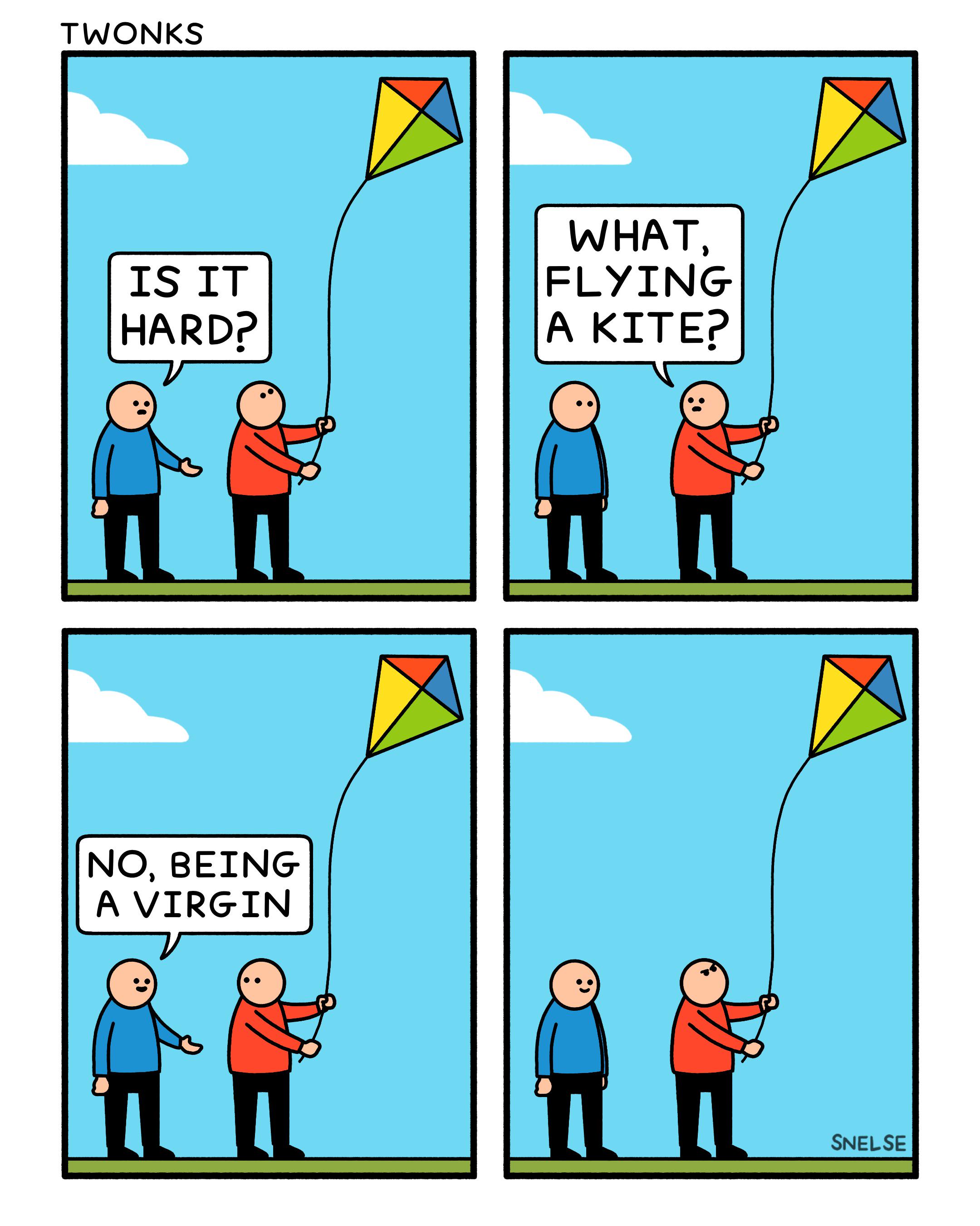 [OC] Kite flying r/funny