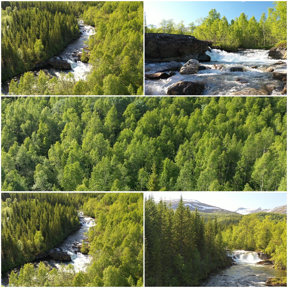 Free unedited 4K nature stock footage for your projects r/VideoEditing