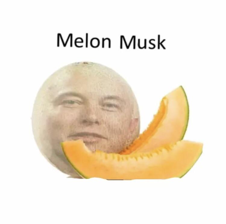 Melón musk r/wismichu