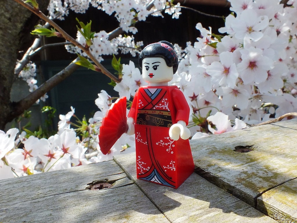Cherry Blossom season just ended in Japan... r/lego