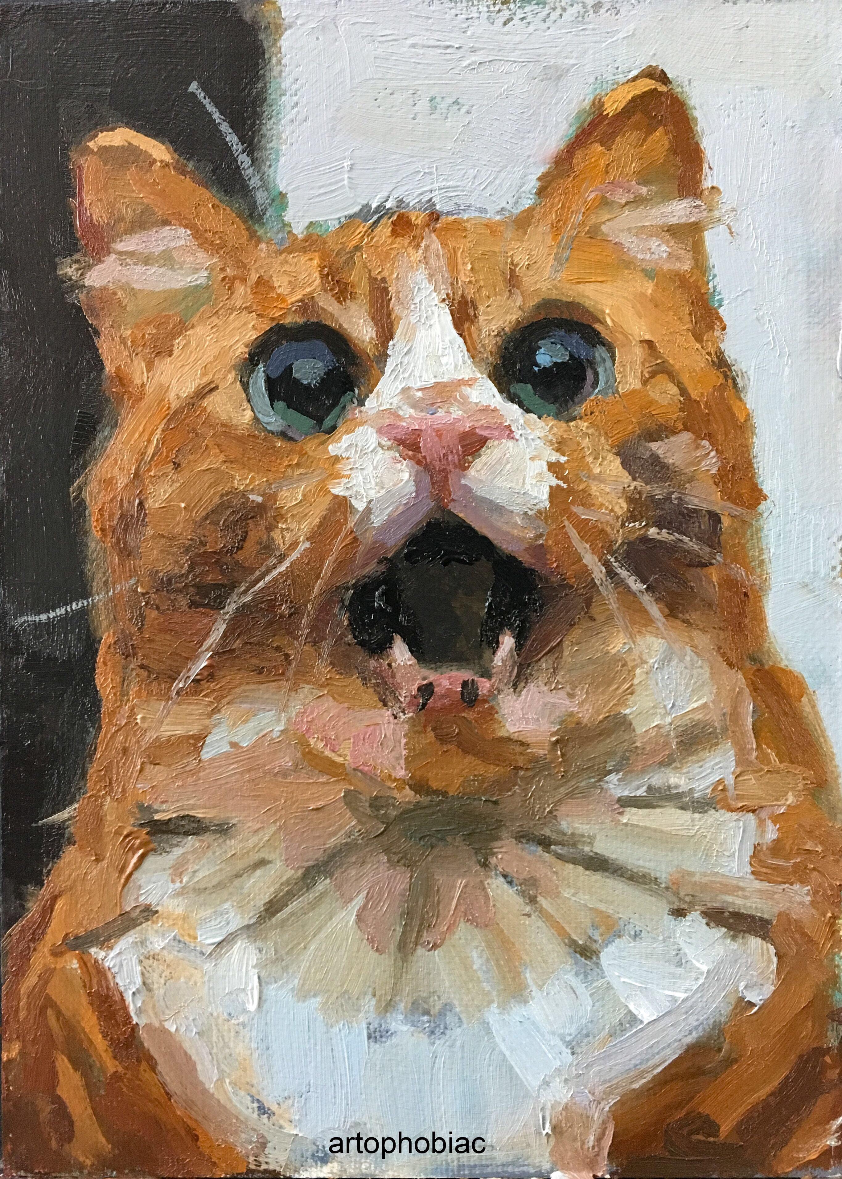 Amazed Cat Meme, 5x7, oil on wood. r/painting