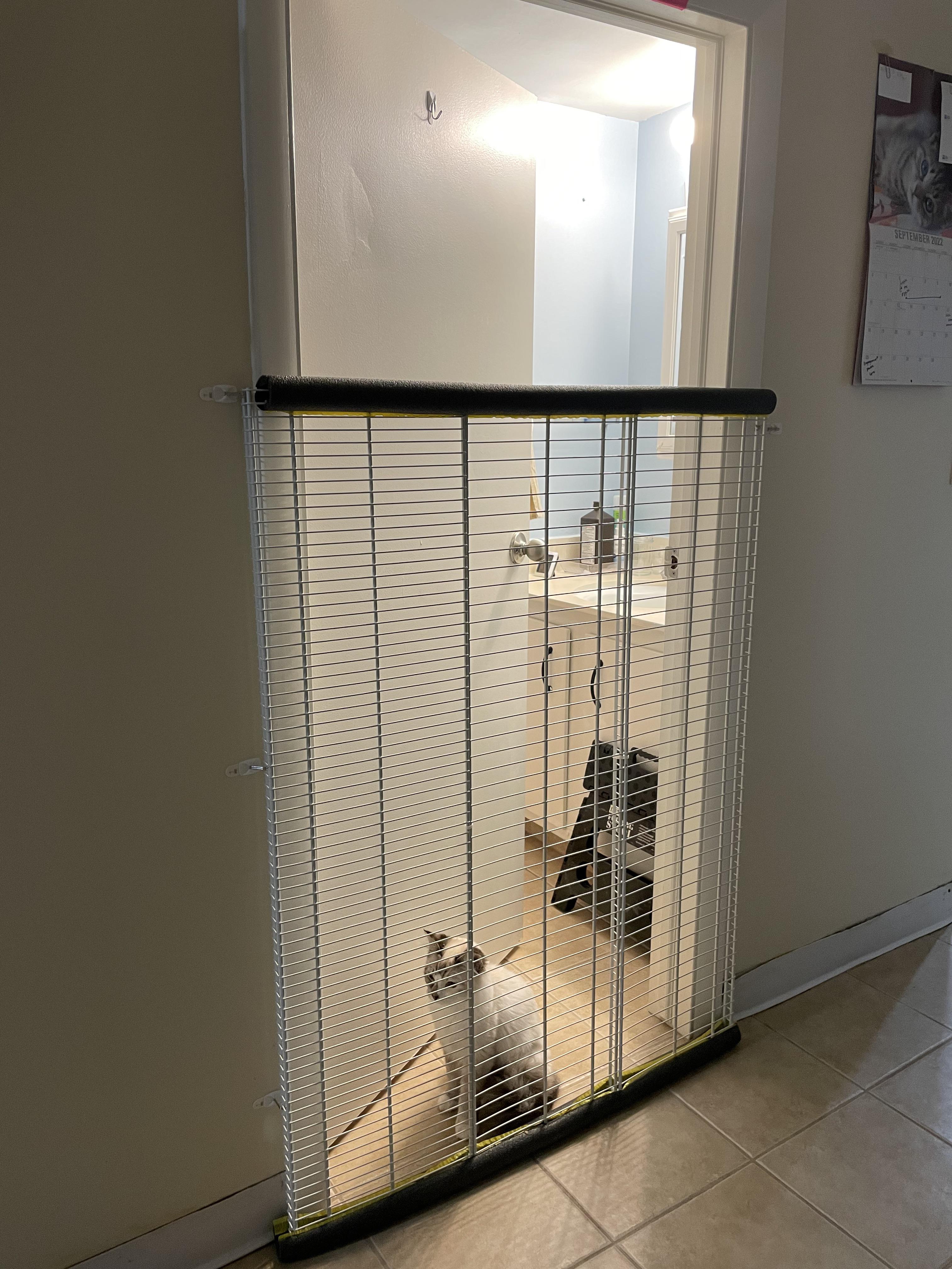 Week one of second cat introduction and made this makeshift gate since