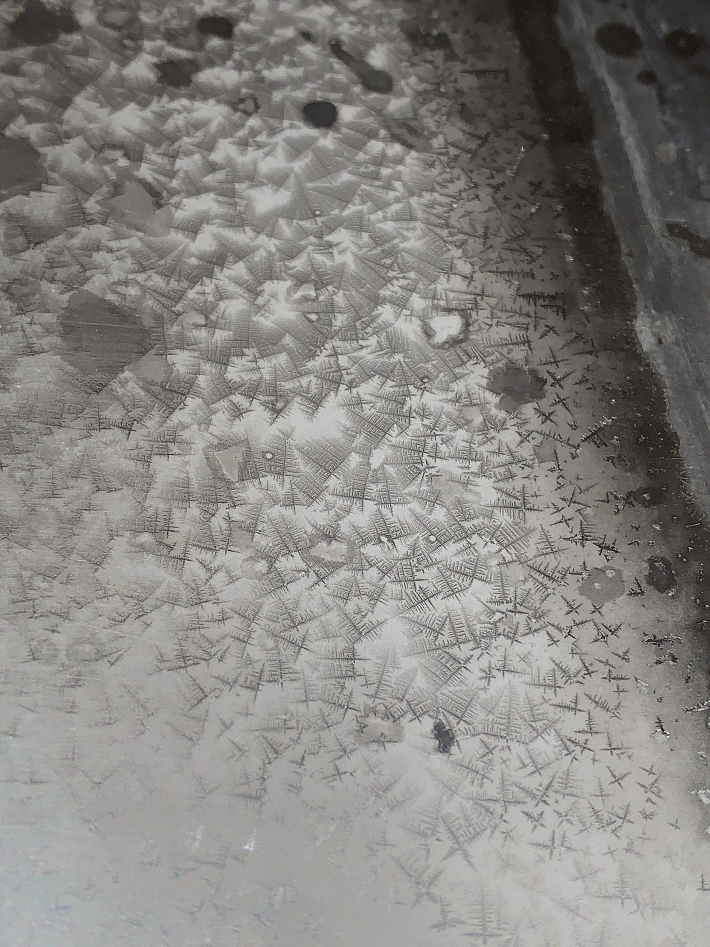 Crystals forming inside my dishwasher after I put a bit too much salt