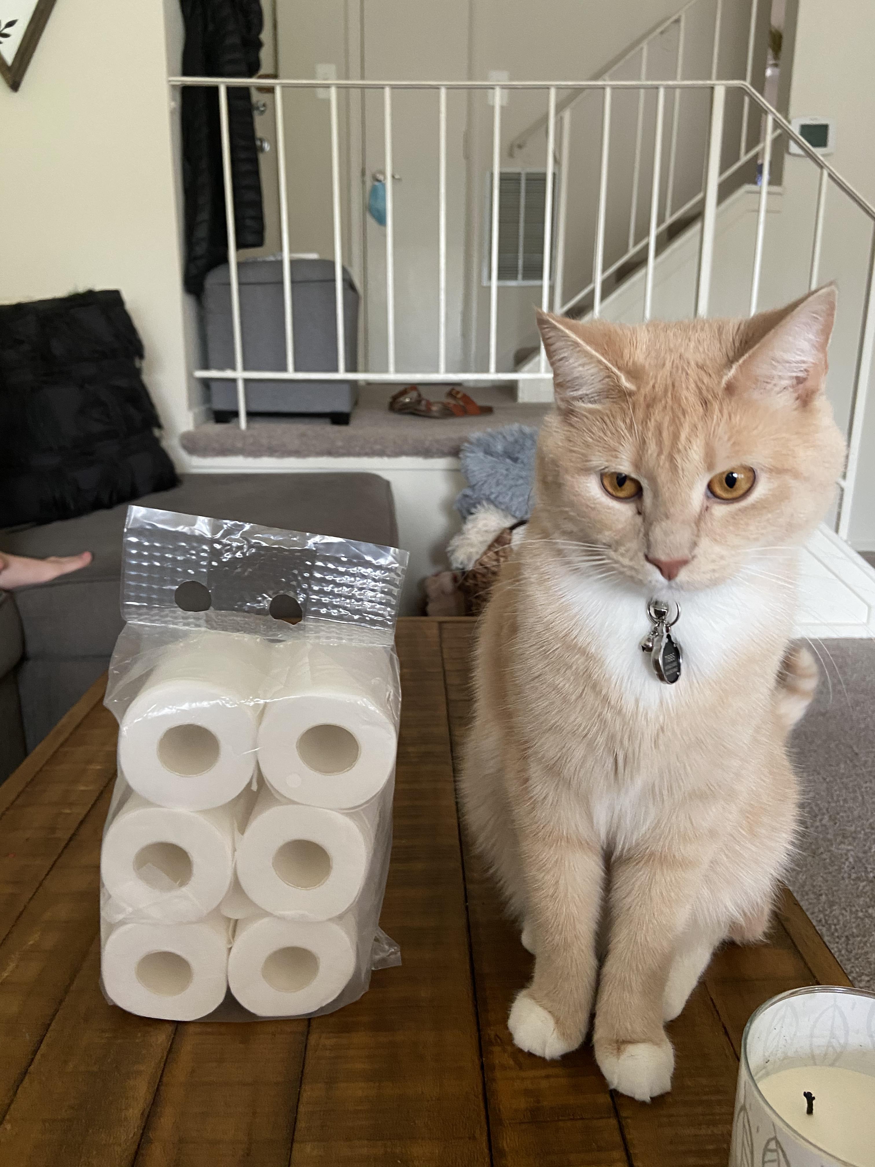 Ordered 6 rolls of toilet paper from amazon and this is what I got. r