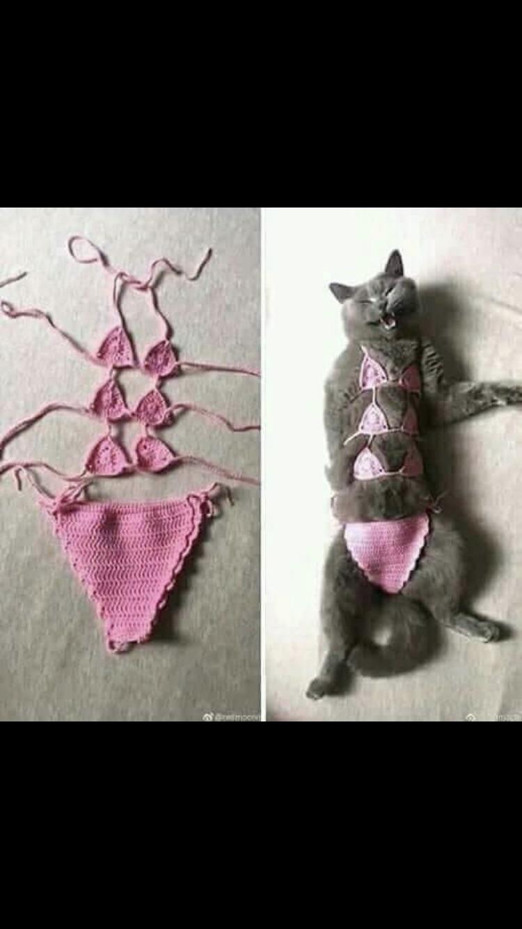 Cat Bikini r/ATBGE
