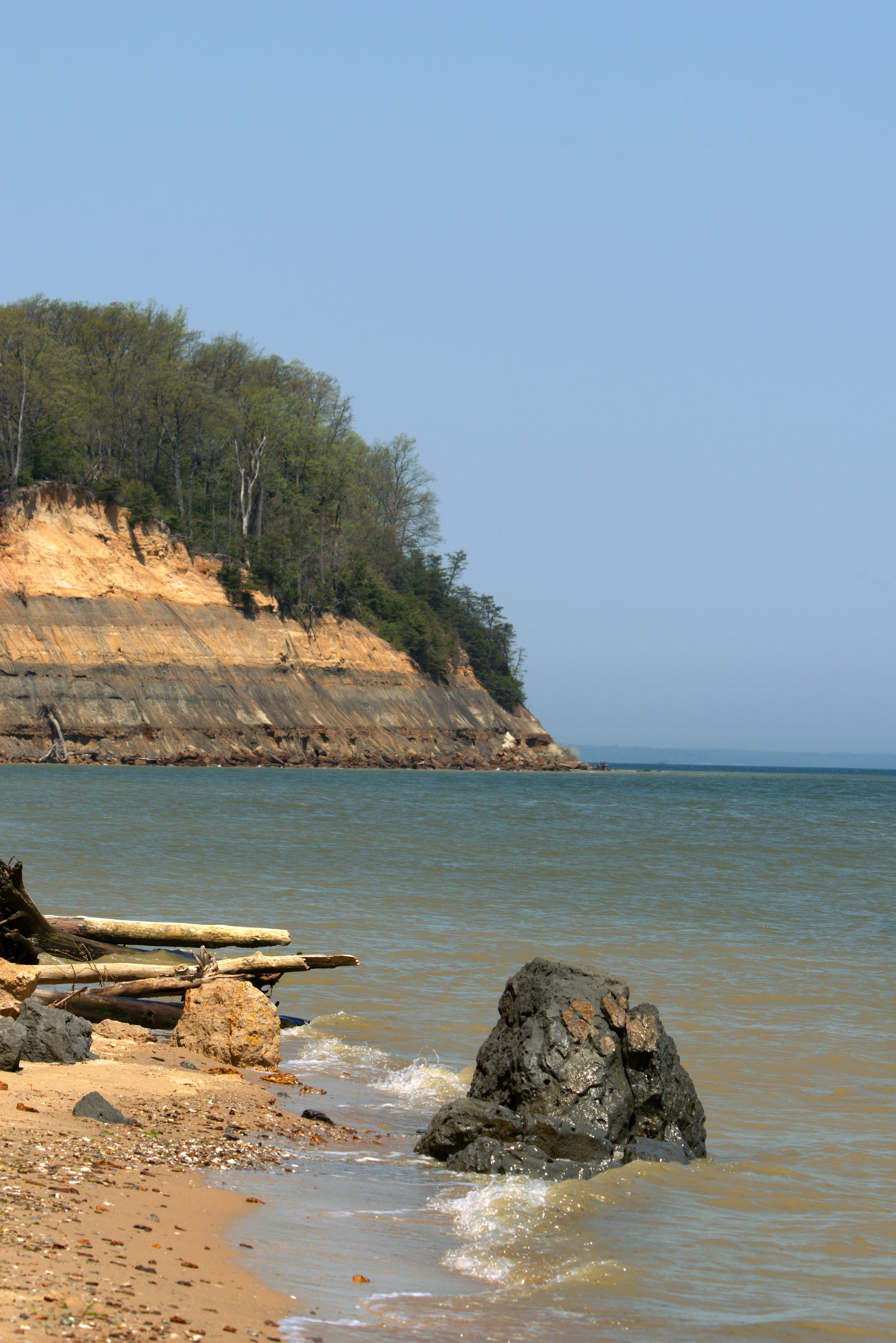 Calvert Cliffs State Park, MD [OC] (3333 x 4993) r/EarthPorn