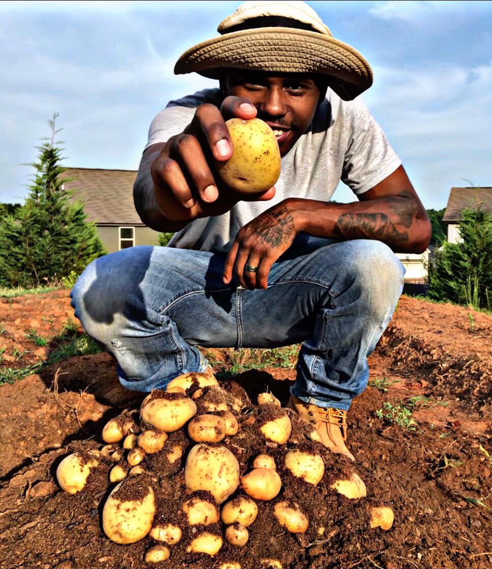I LOVE HARVESTING YUKON GOLD POTATOES. r/vegetablegardening