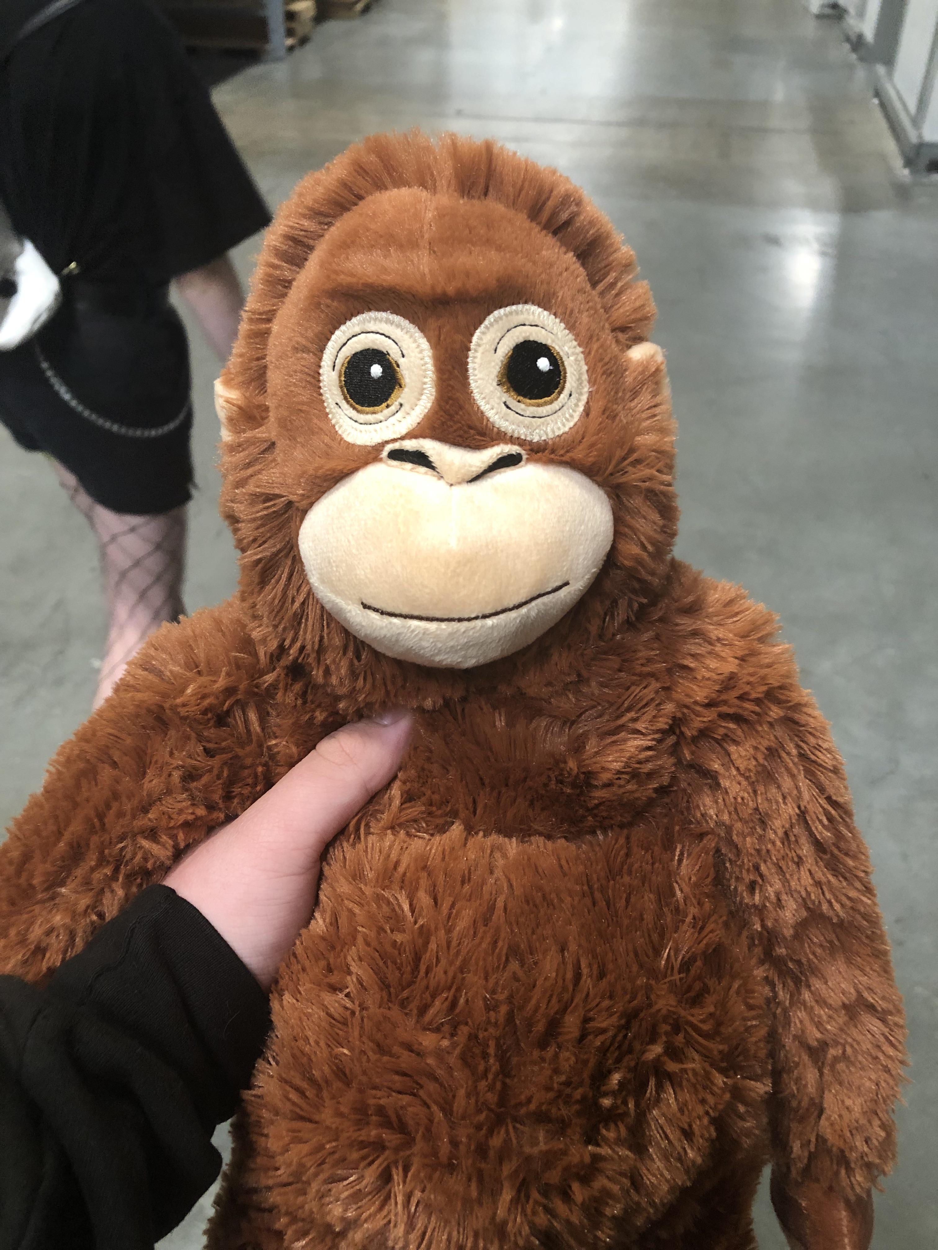 I drove 115 miles to the nearest IKEA just to purchase him. r