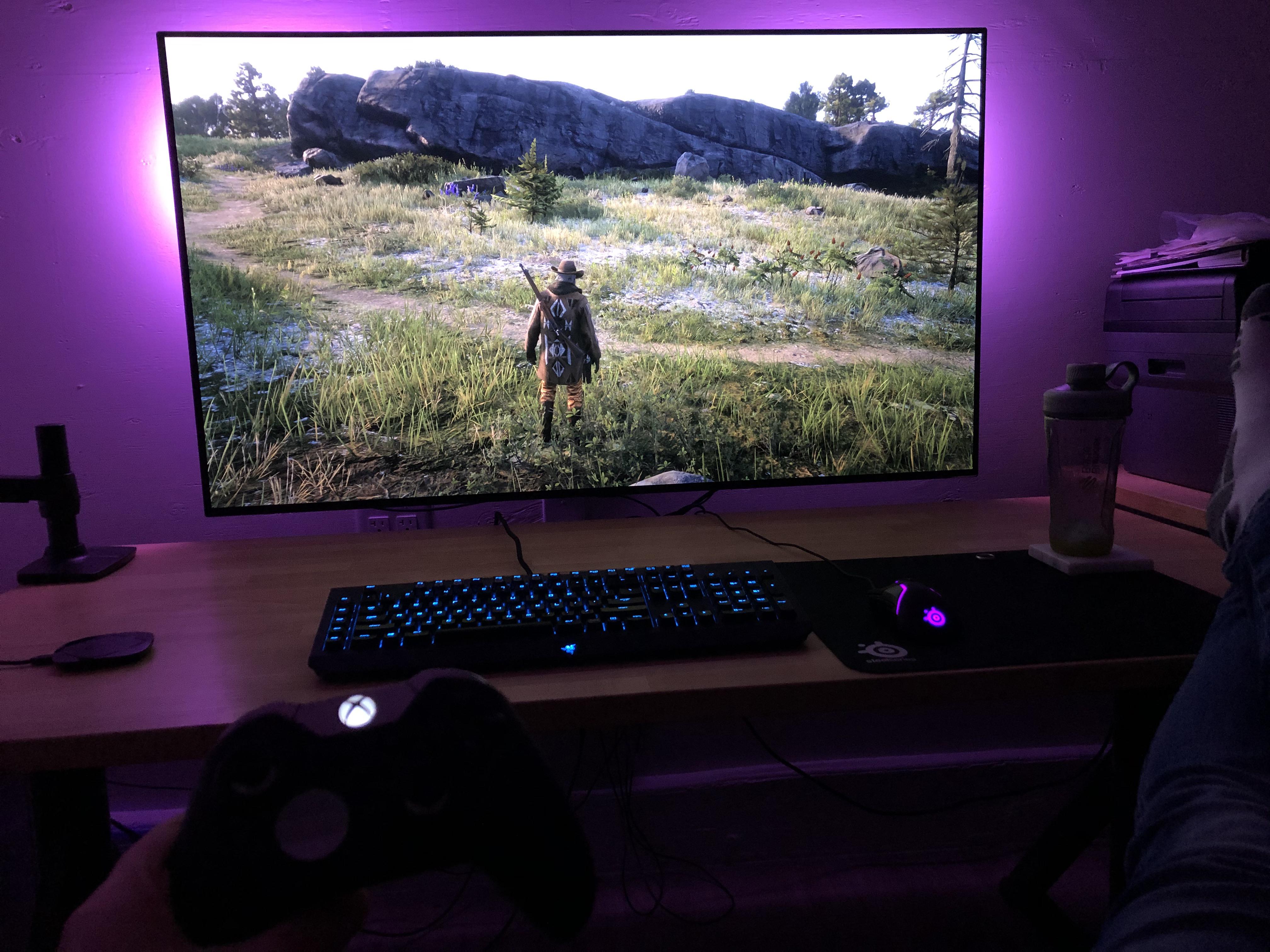 RDO done right, picked up a 55” LG C9 OLED. r/RDR2