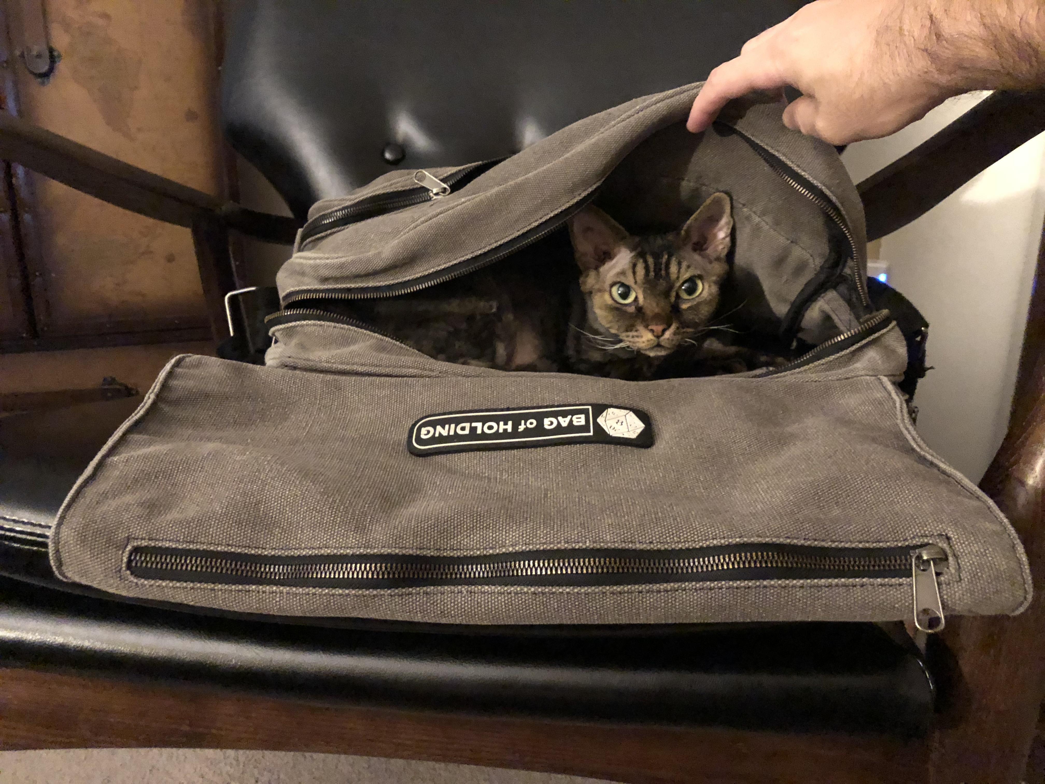 A Surprise in the Bag of Holding r/CatsPlayingDnd