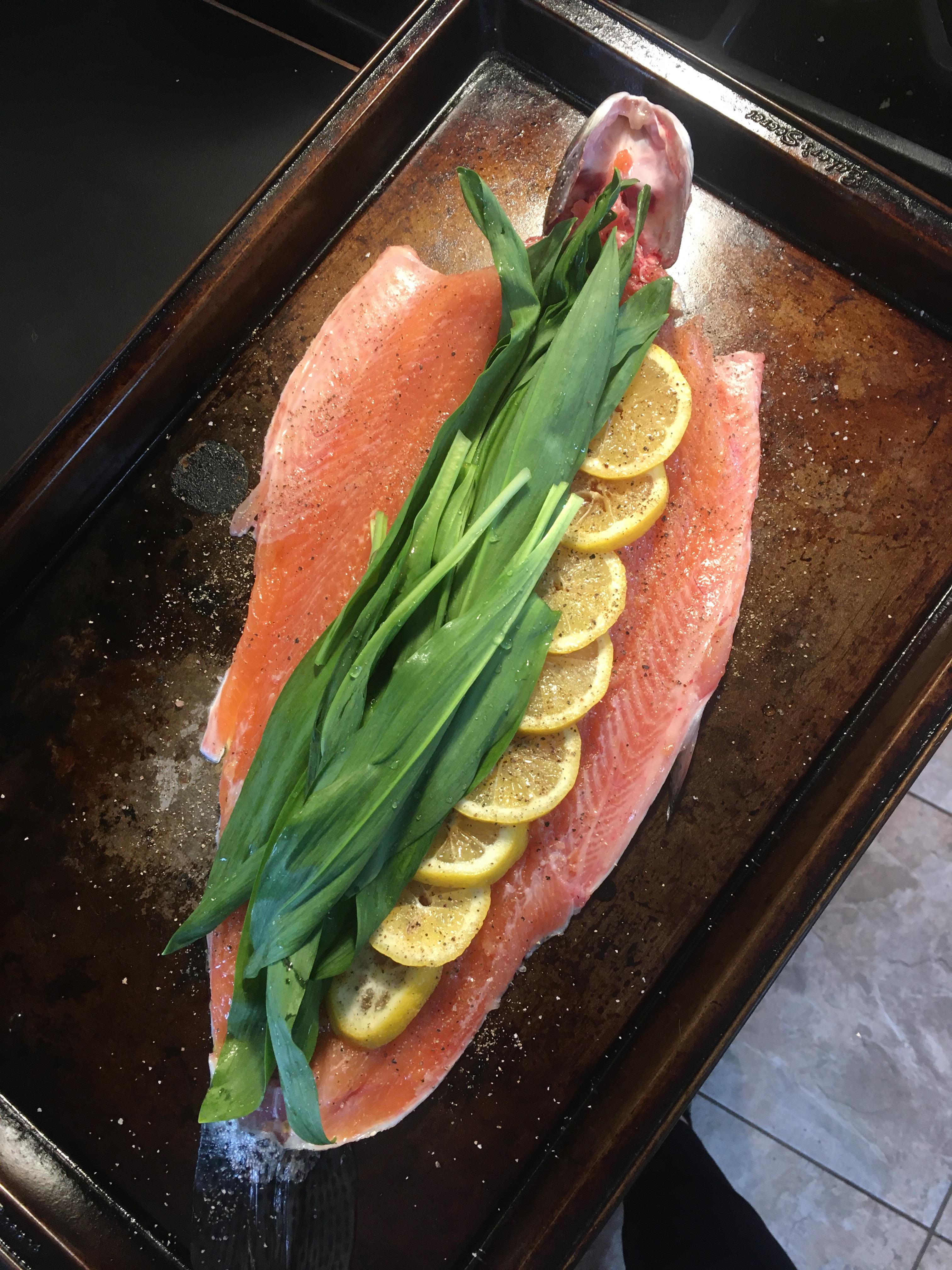 Fresh caught rainbow trout rubbed in salt, pepper and olive oil then