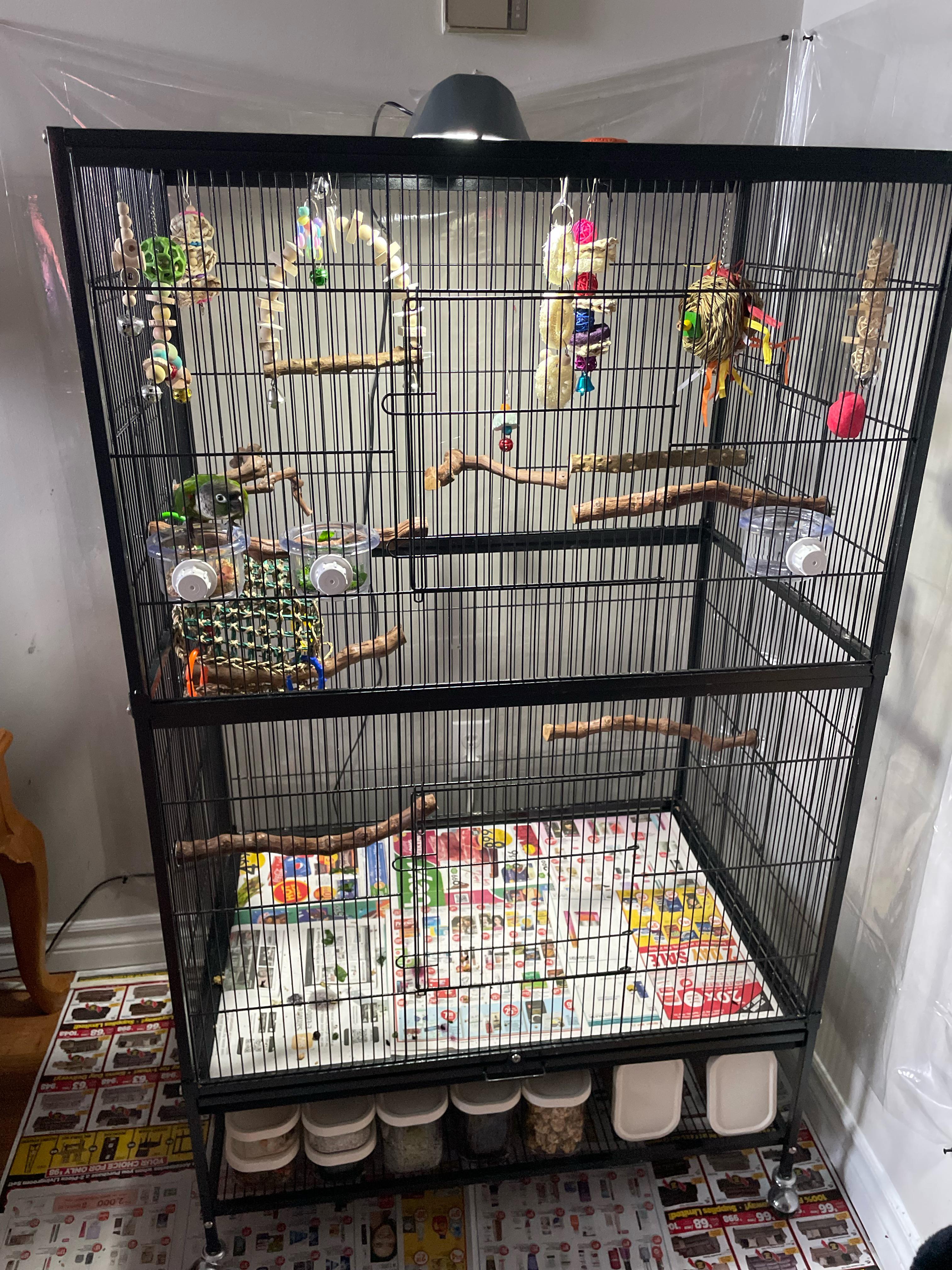 New cage setup for my buddy!!!! r/Conures