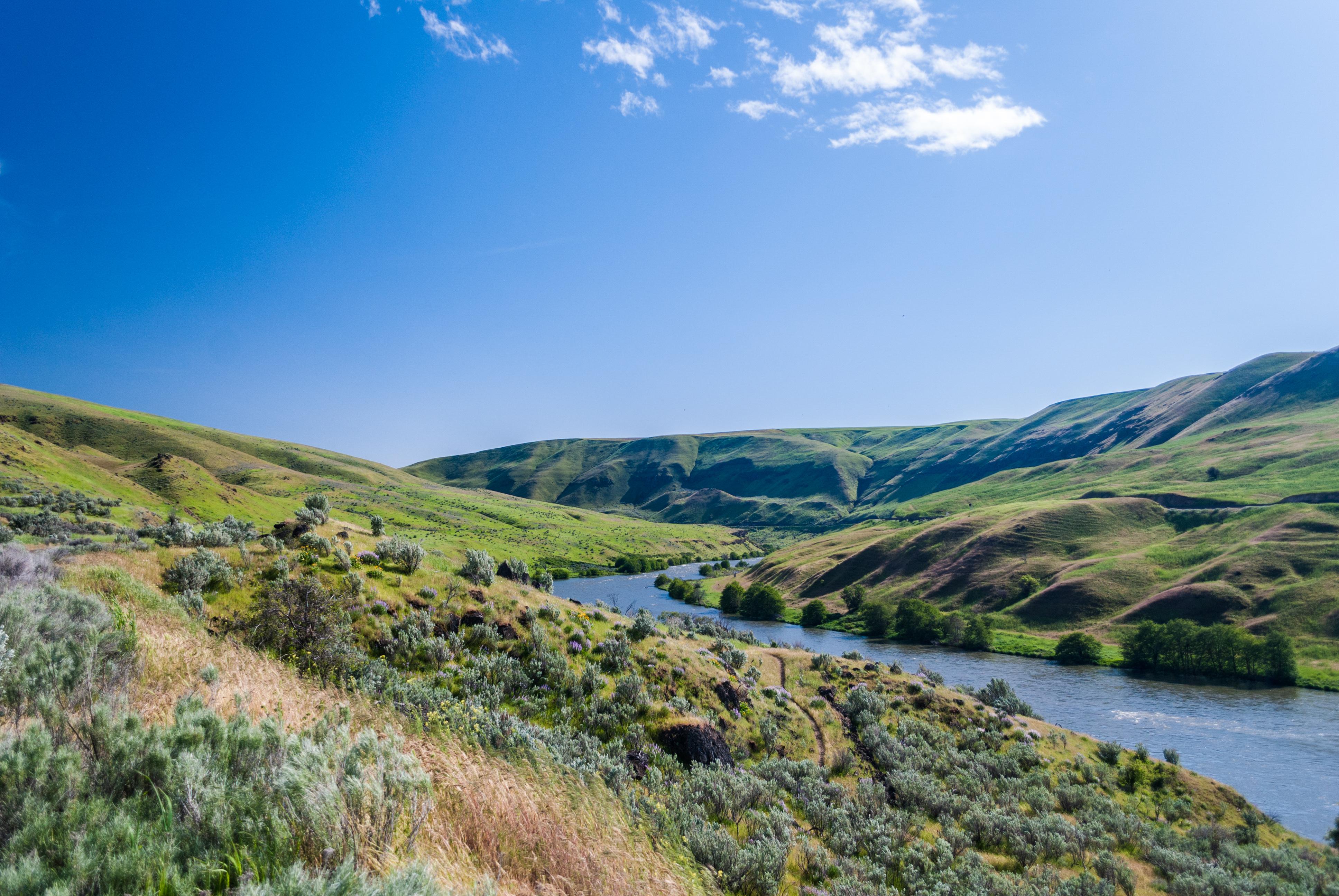 Deschutes River Recreation Area, Oregon, USA [3872x2592][OC] r/EarthPorn