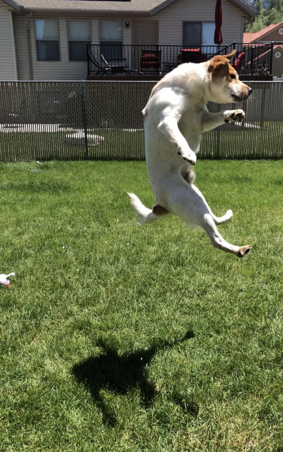 Reddit Dive into anything