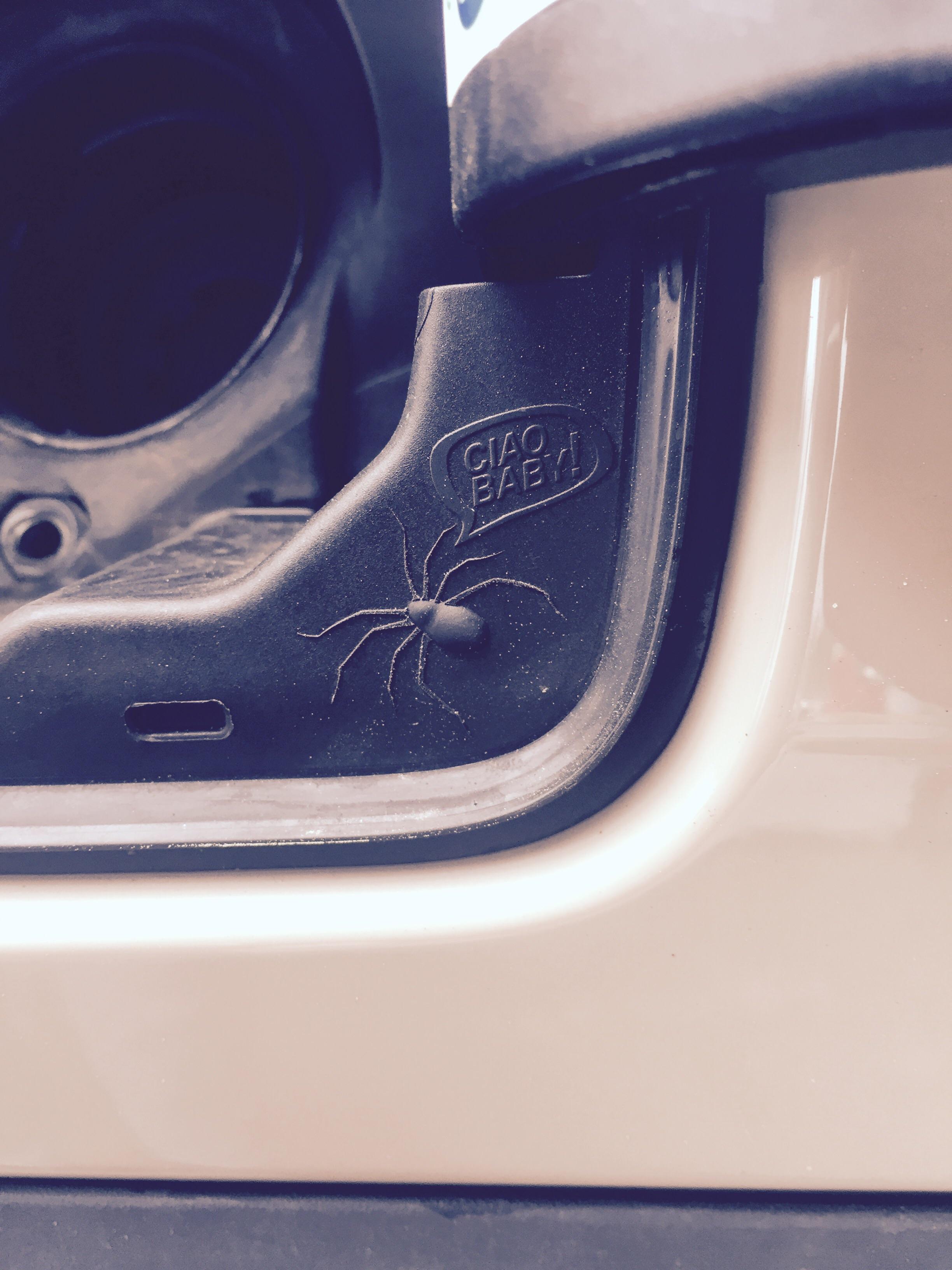 This spider saying "Ciao Baby!" next to the gas tank on my Jeep